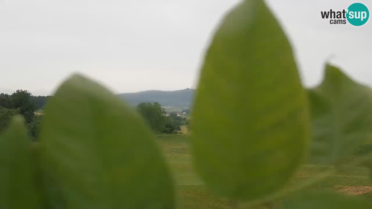 Camera en Vivo Golf Grad Otočec – Terme Krka – Eslovenia