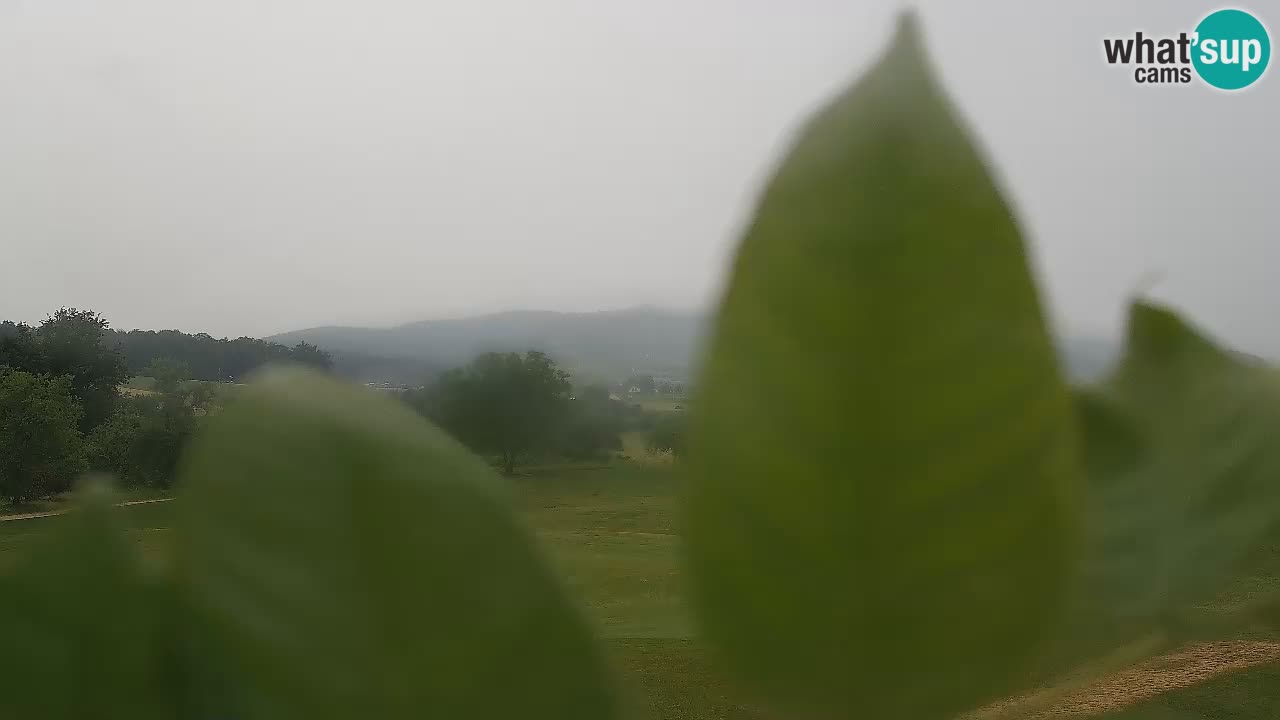 Experience Stunning Golf Views with Webcam at Golf Grad Otočec