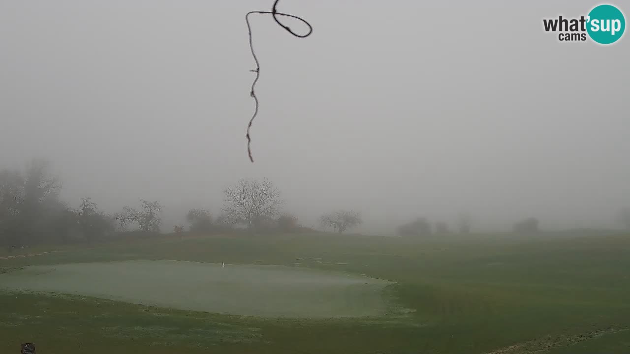 Experience Stunning Golf Views with Webcam at Golf Grad Otočec