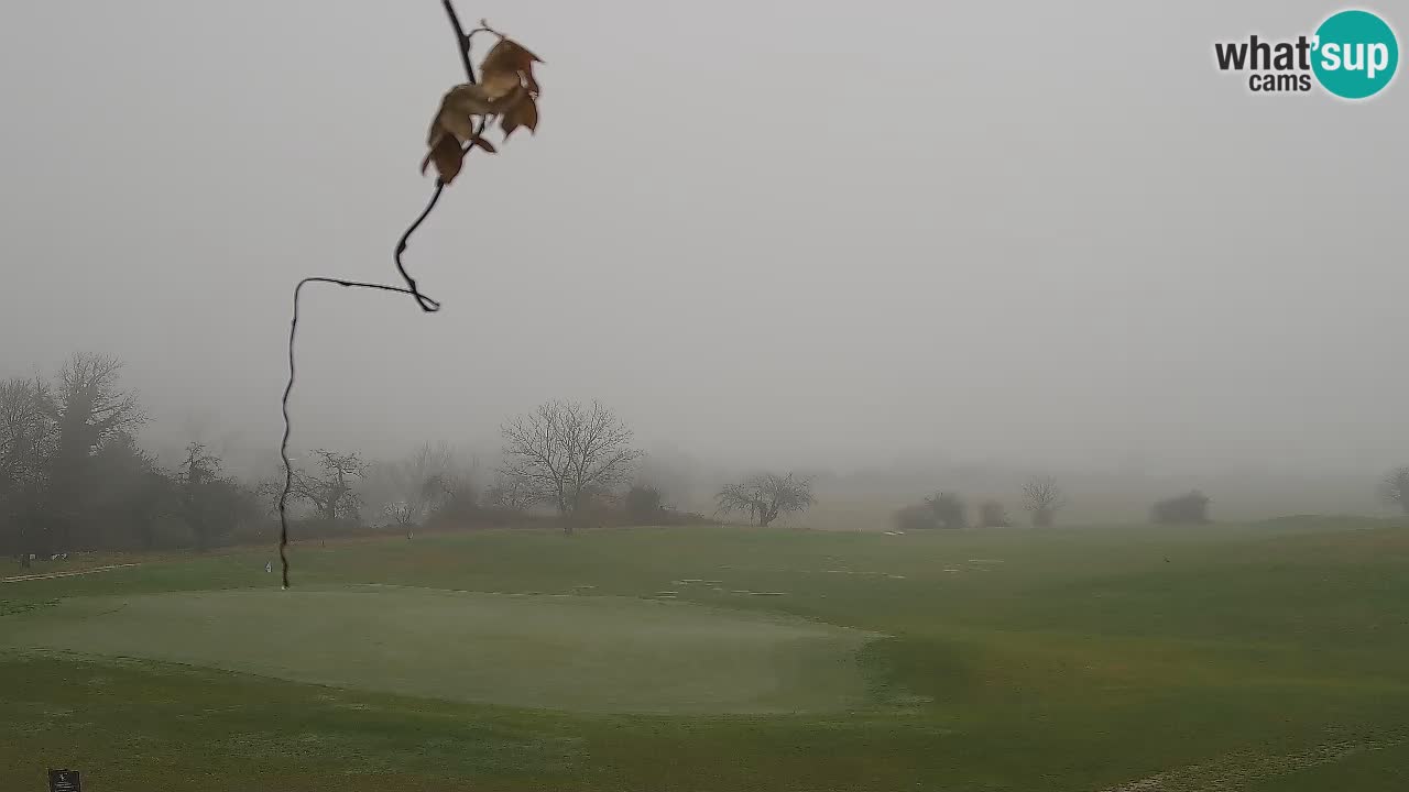 La webcam du Golf Grad Otočec – Terme Krka – Slovenie