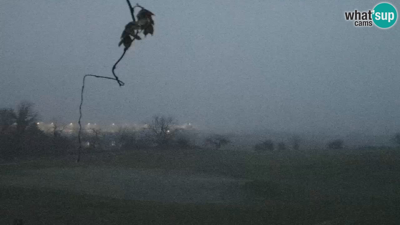 Camera en Vivo Golf Grad Otočec – Terme Krka – Eslovenia