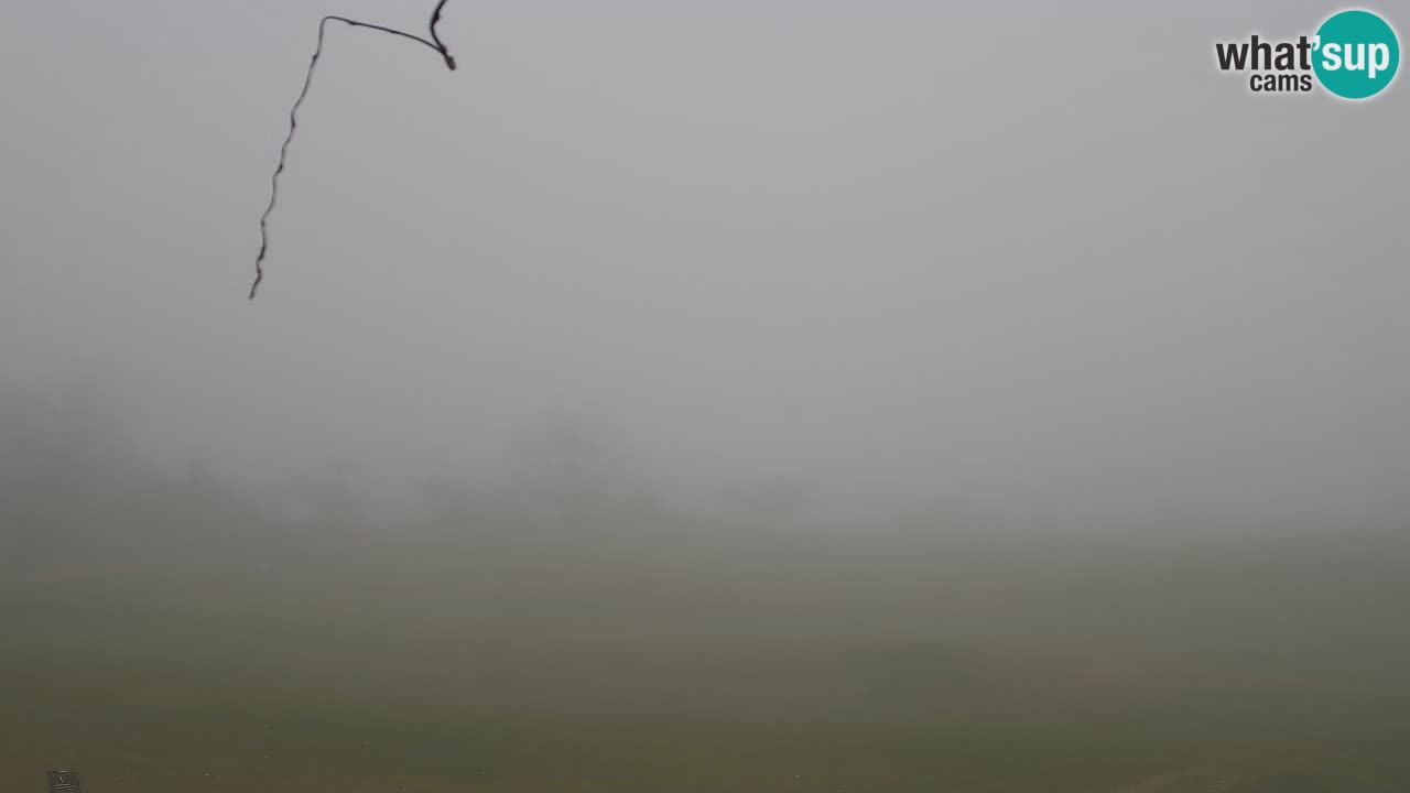 Experience Stunning Golf Views with Webcam at Golf Grad Otočec