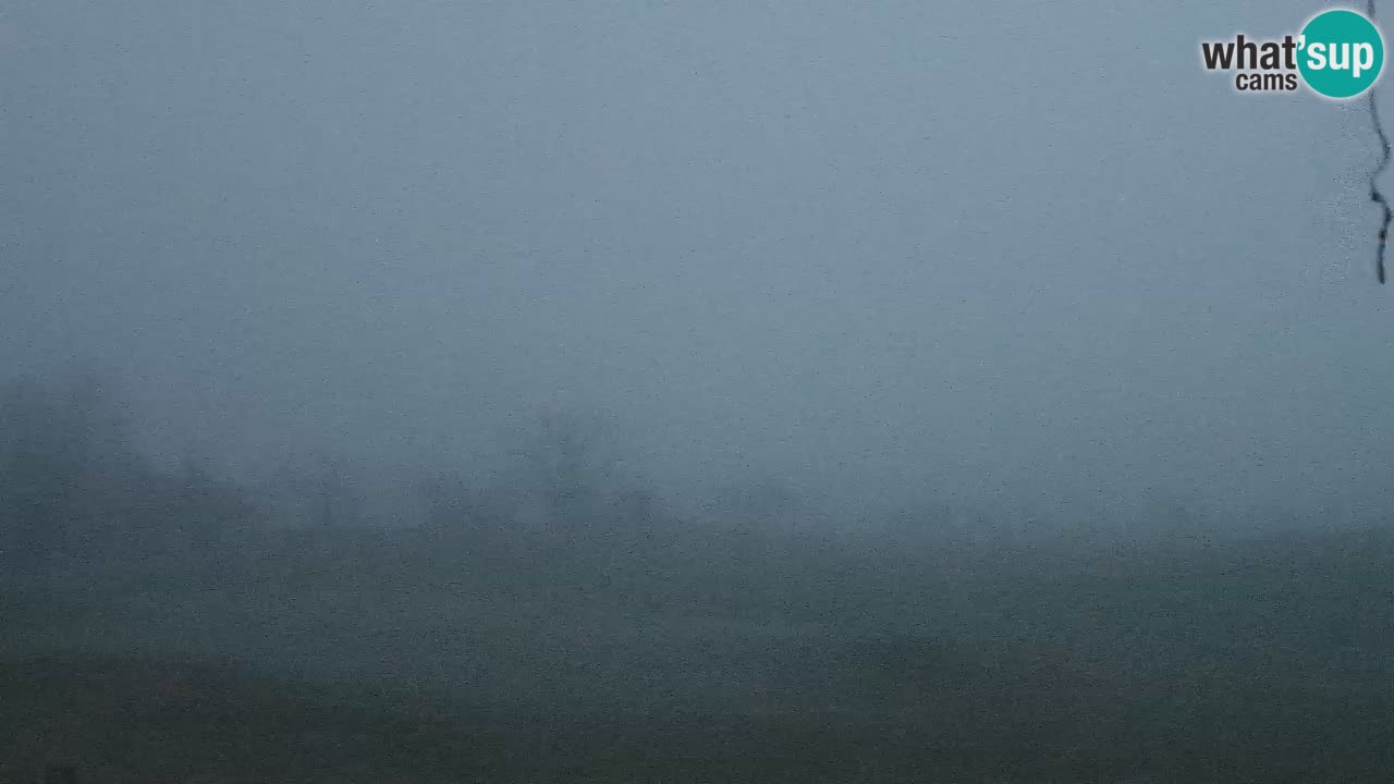 Experience Stunning Golf Views with Webcam at Golf Grad Otočec