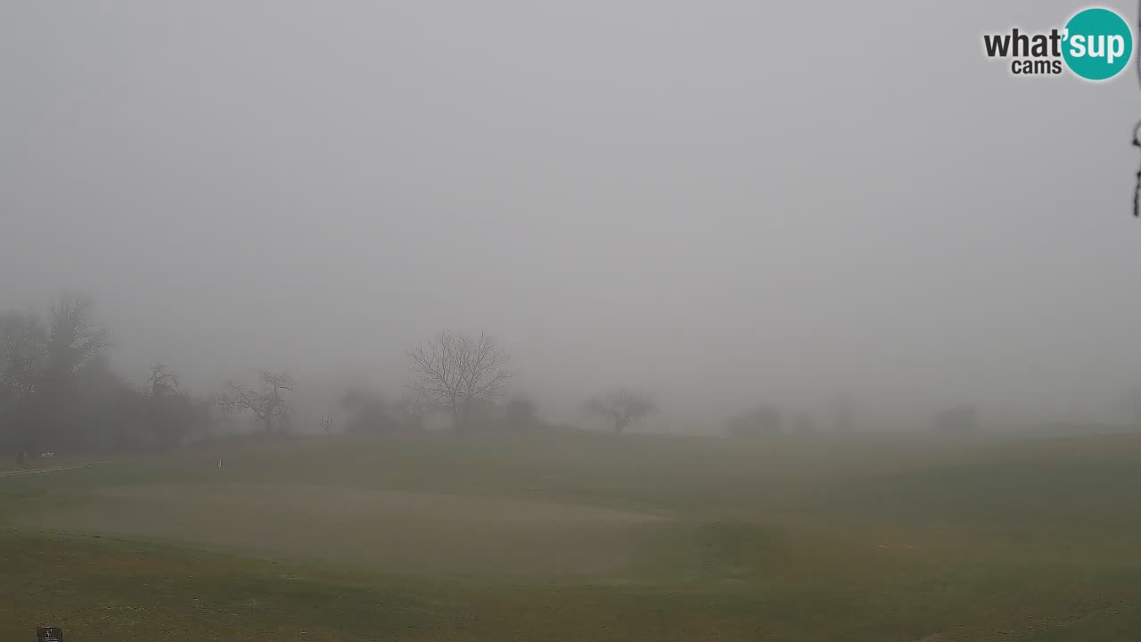 Experience Stunning Golf Views with Webcam at Golf Grad Otočec