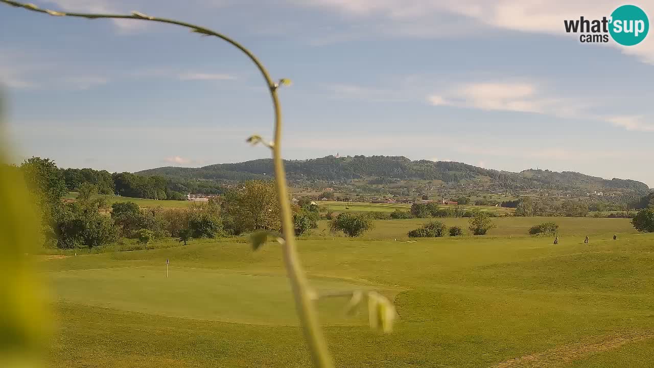 Spletne kamera  Golf Grad Otočec – Terme Krka