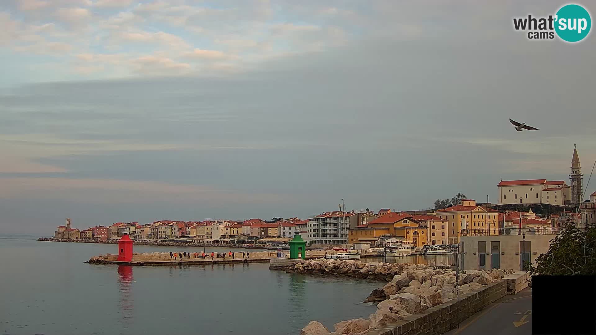 Piran – Pogled proti Punti in Mandraču