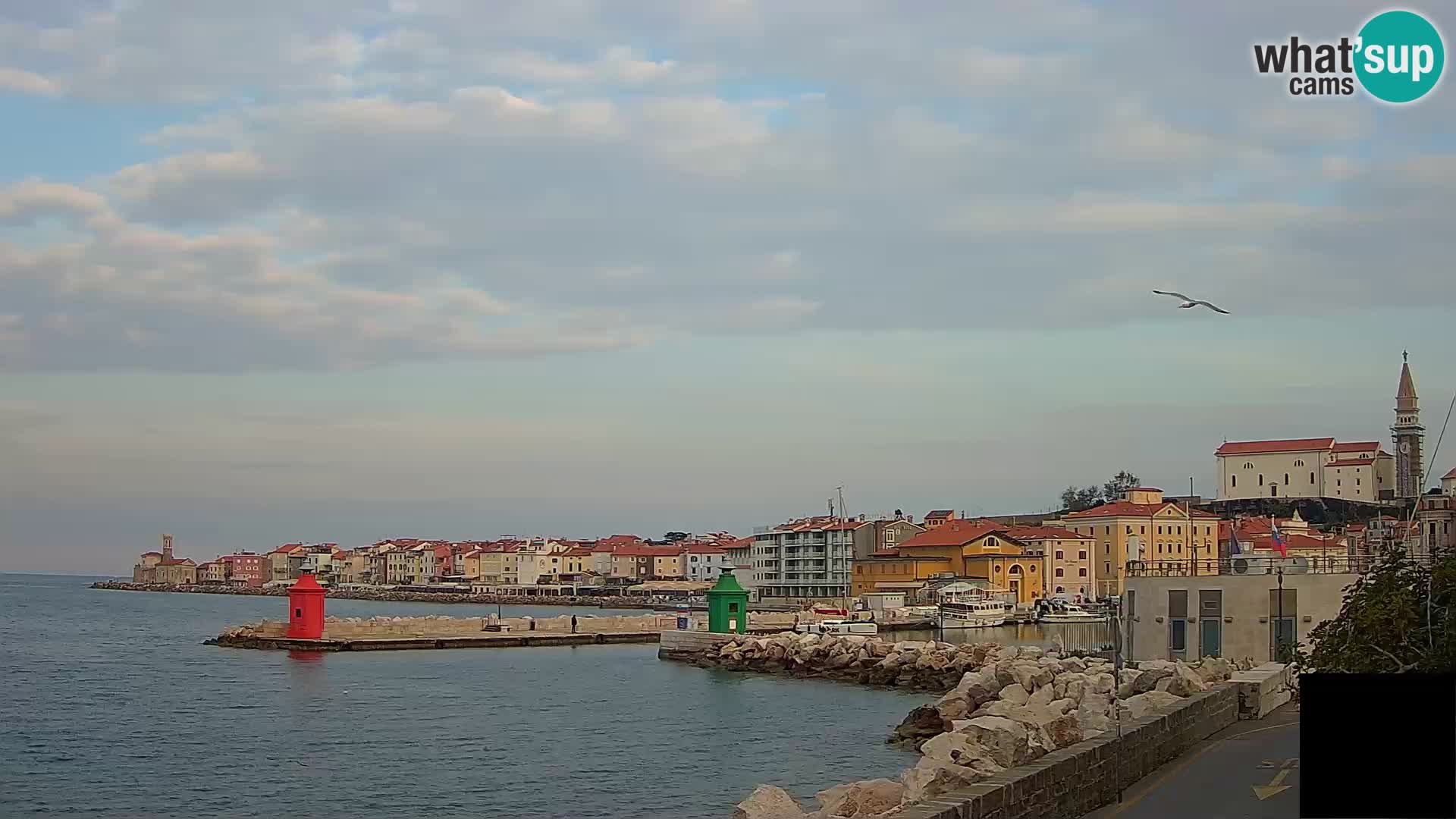 Piran – view to Punta and Mandrač