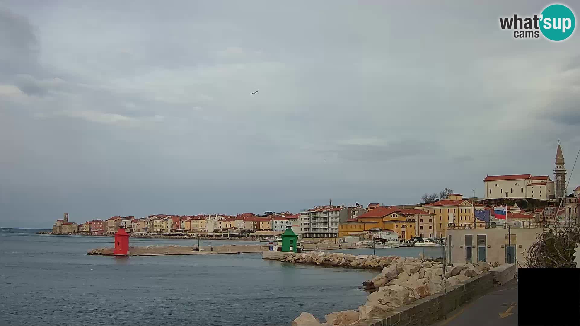 Piran – view to Punta and Mandrač