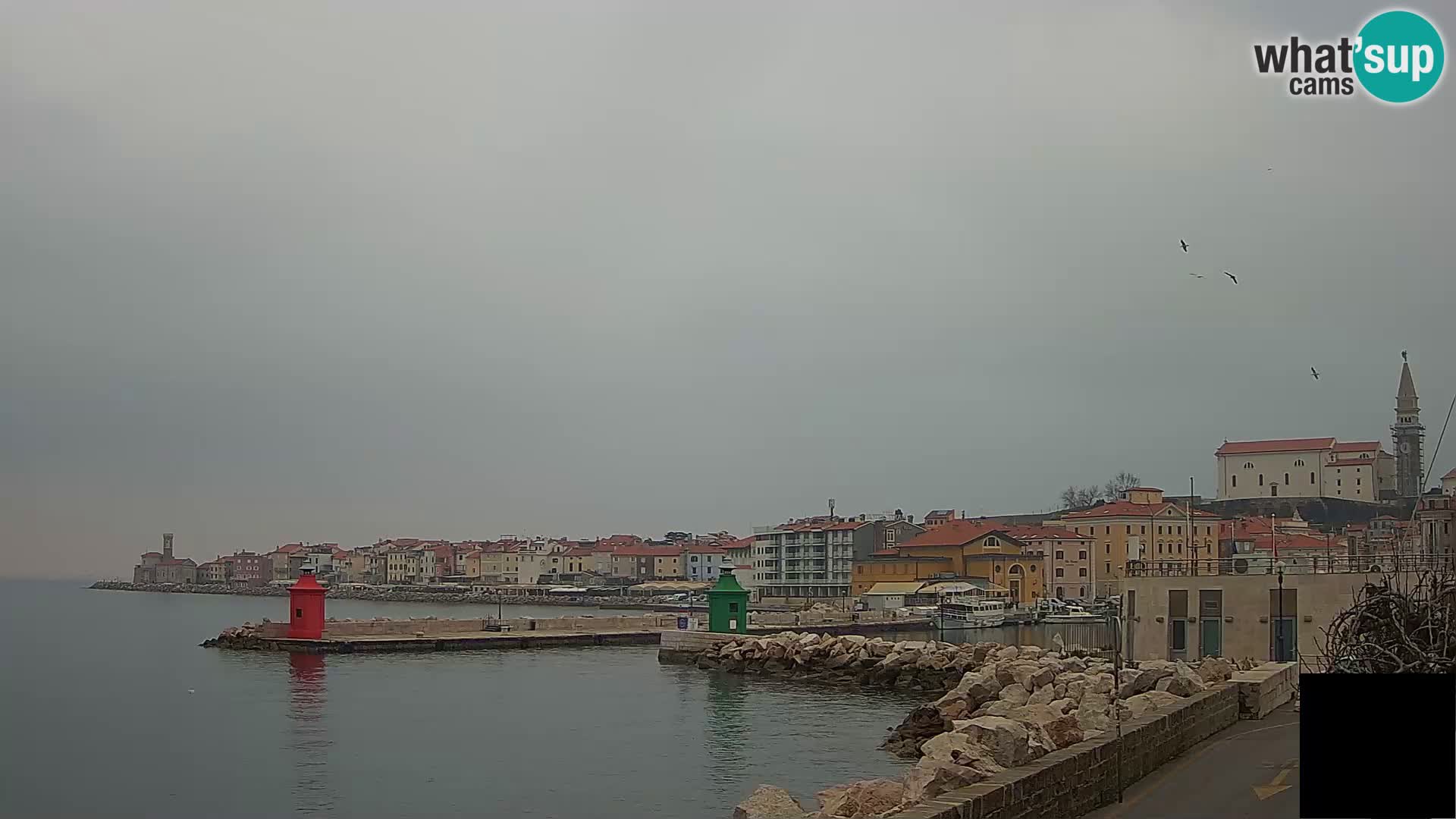 Piran – Punta i Mandrač