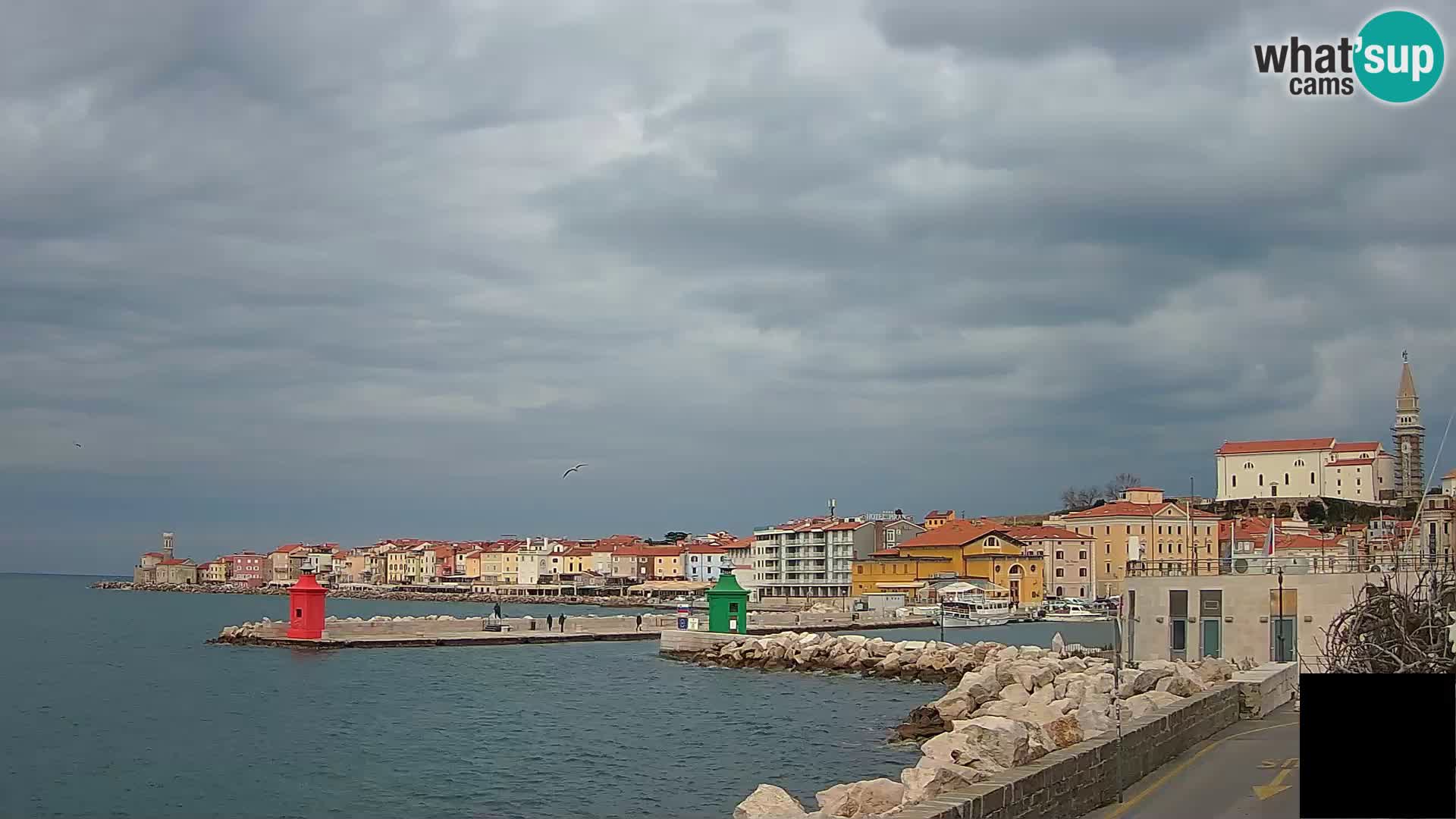 Piran – view to Punta and Mandrač