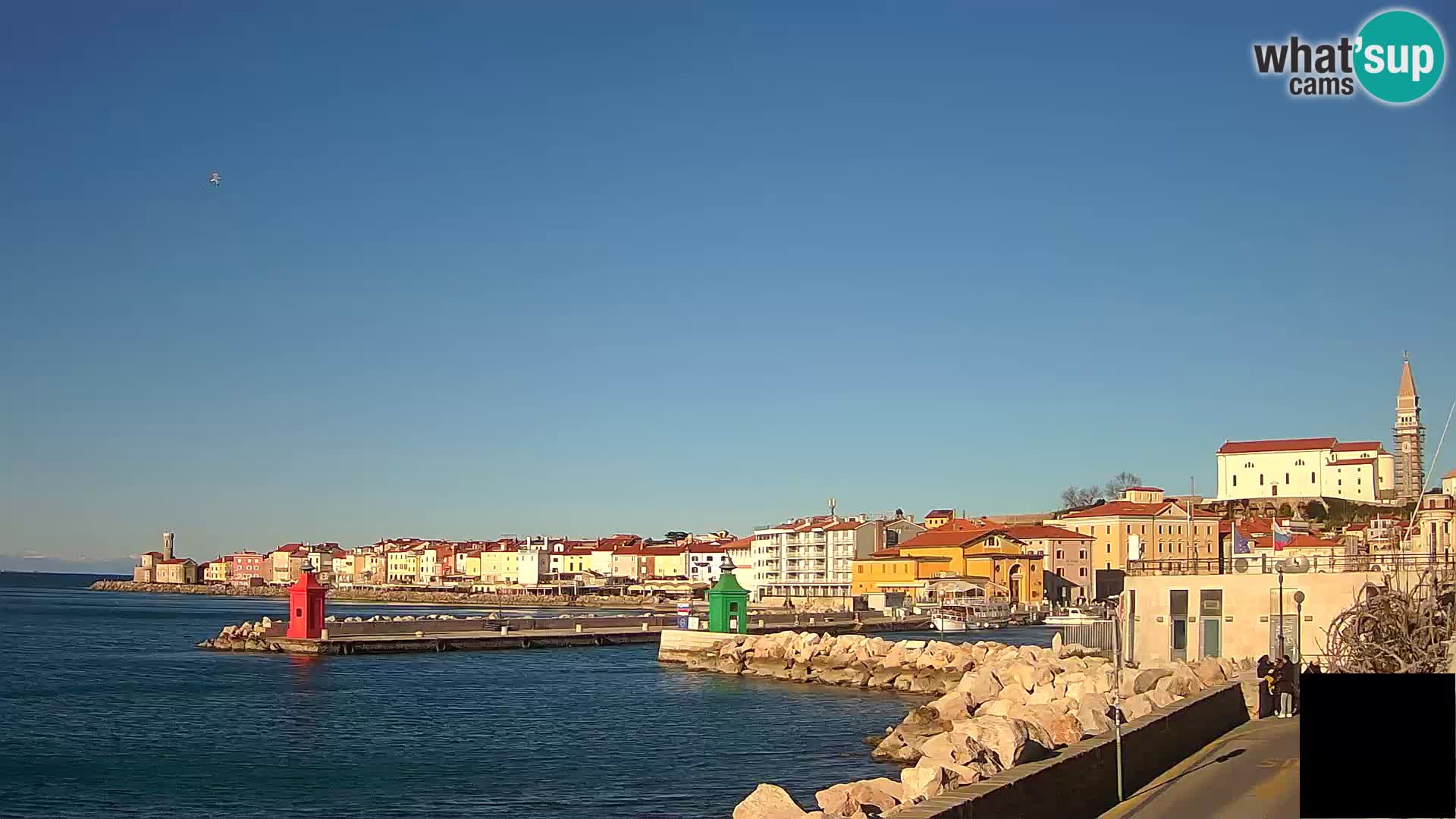 Pirano – vista verso la Punta e il “Mandrač”