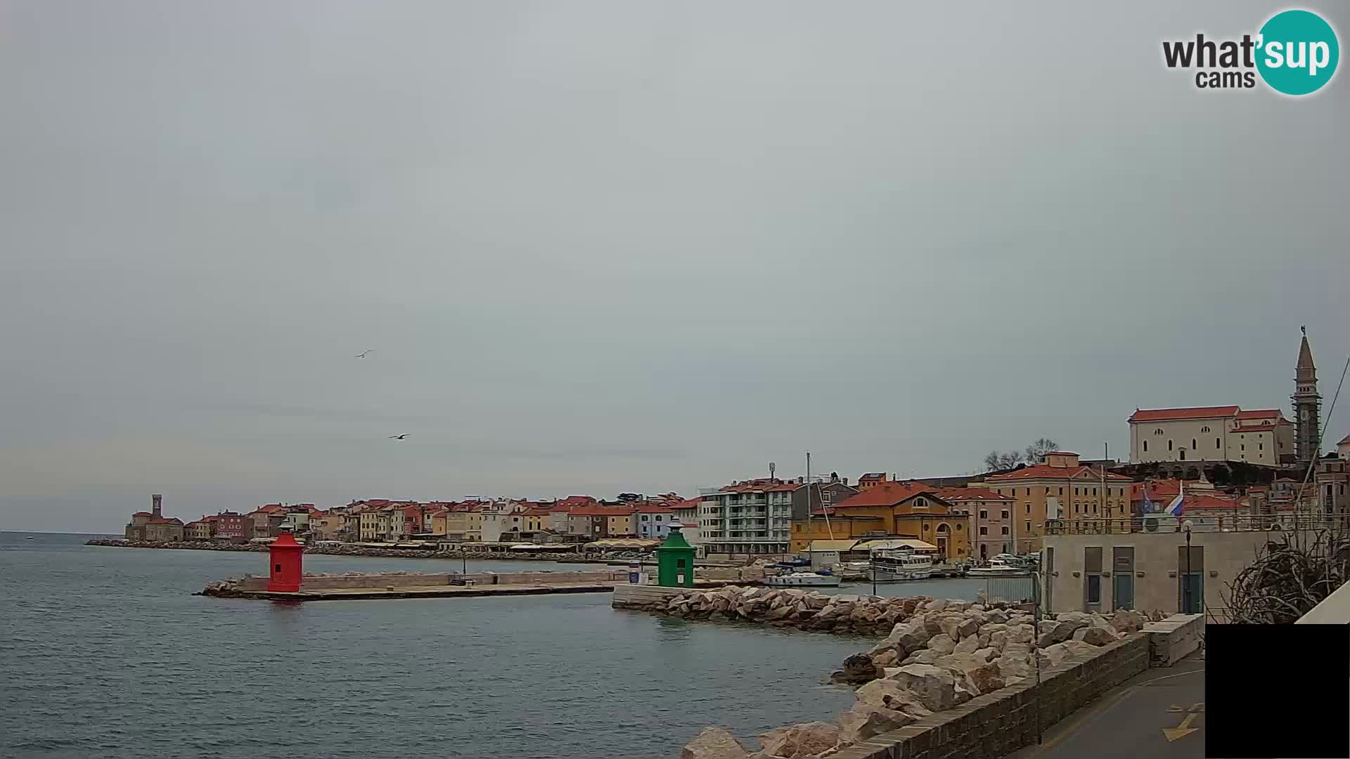 Piran – view to Punta and Mandrač