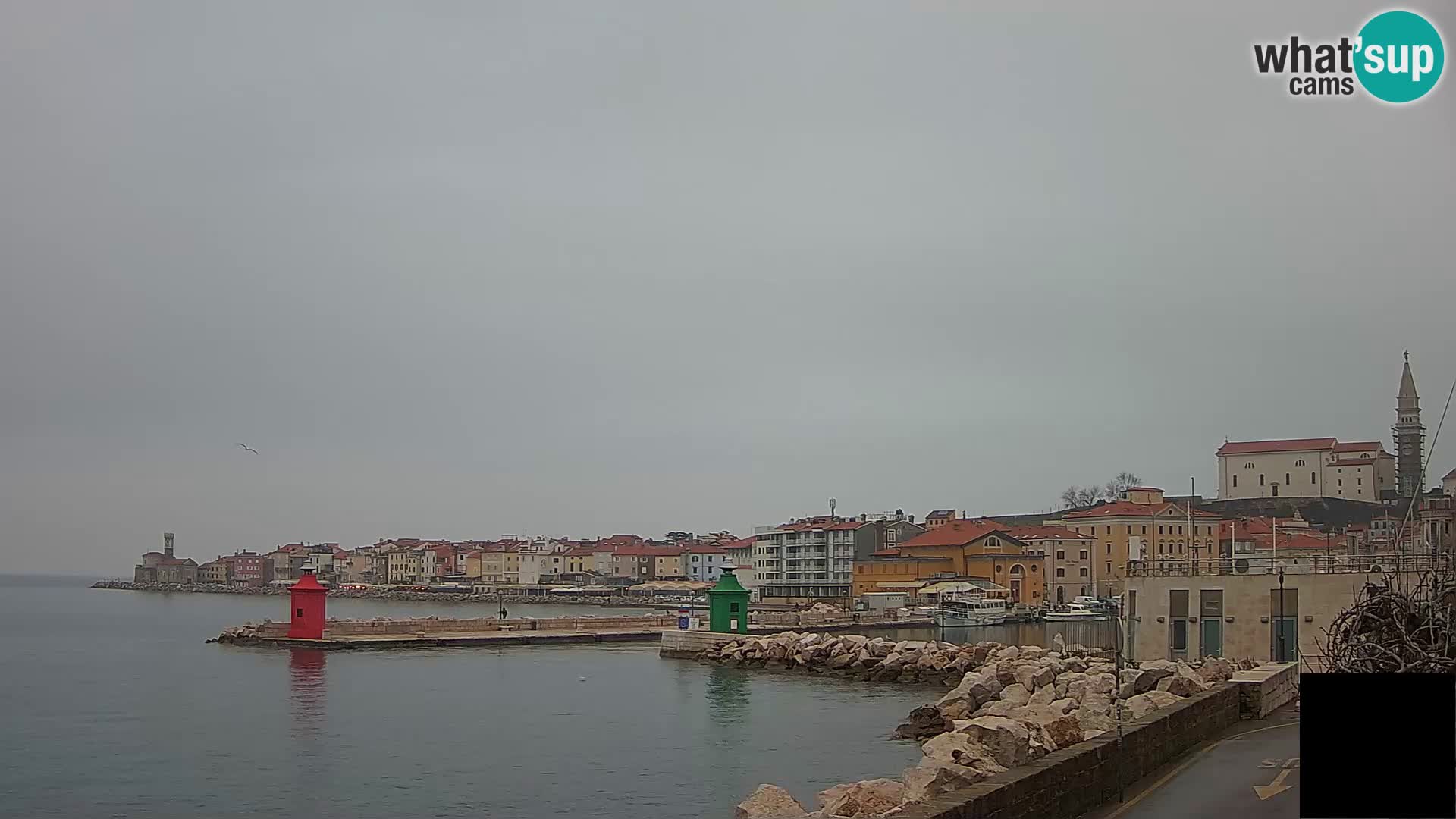 Piran – view to Punta and Mandrač