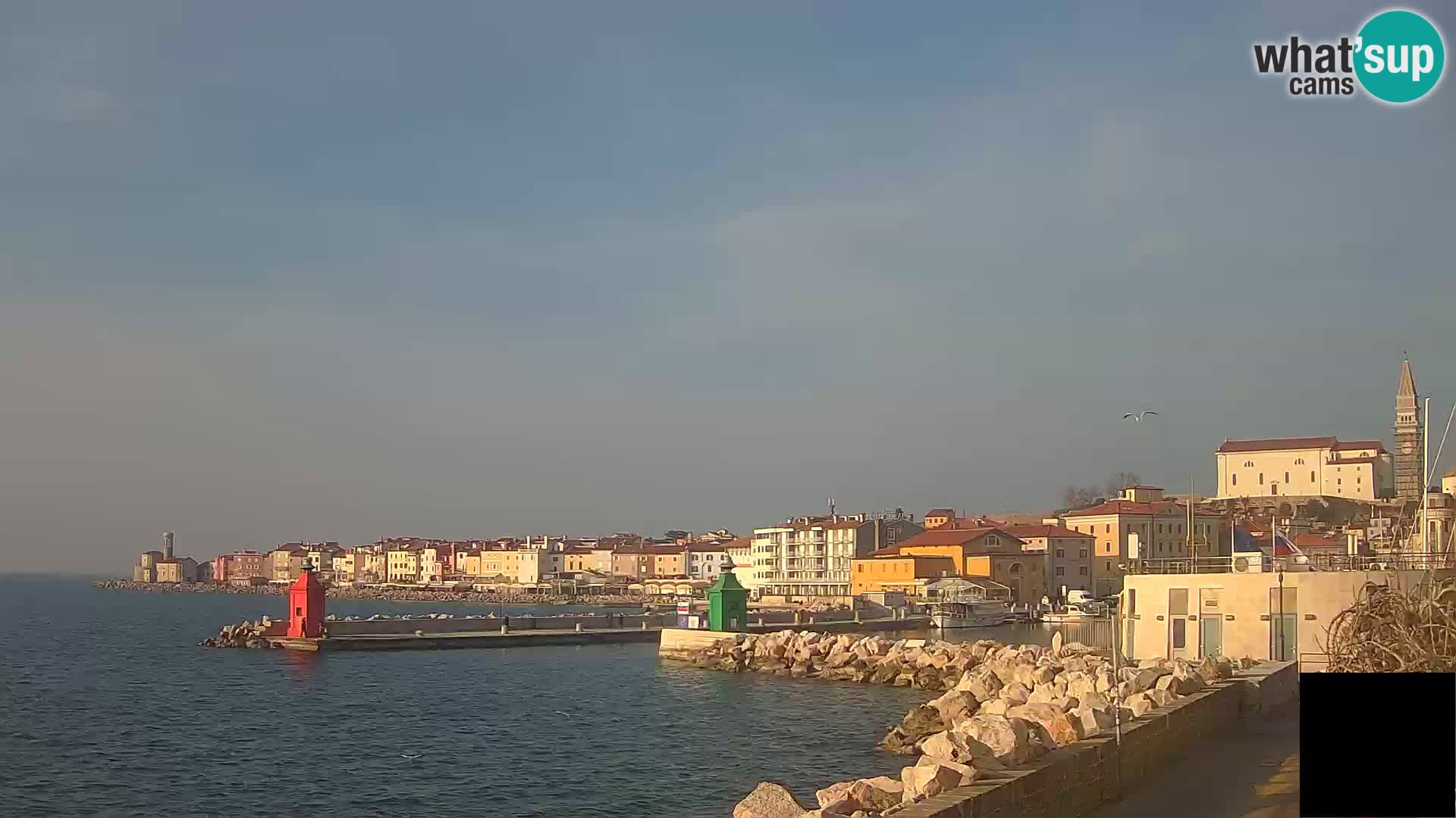 Piran – Punta i Mandrač