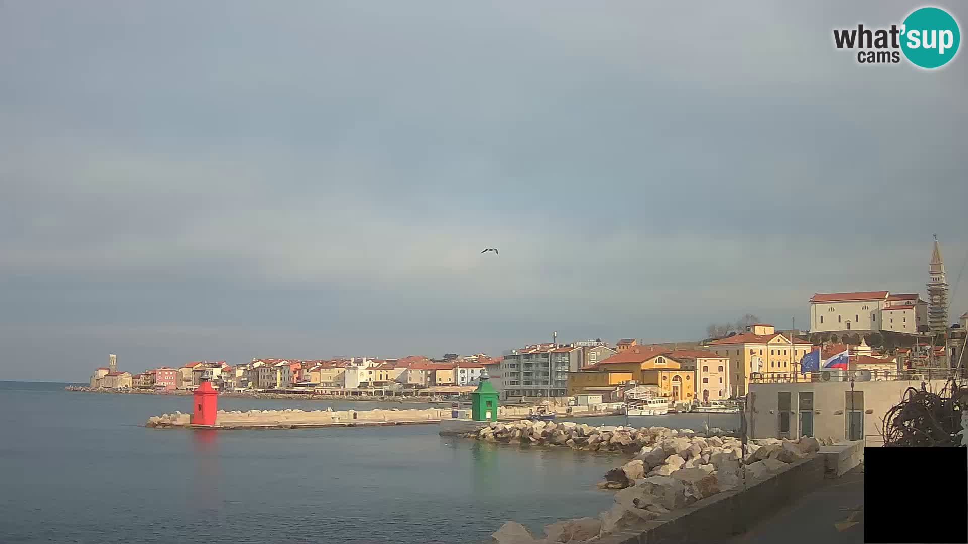 Piran – view to Punta and Mandrač