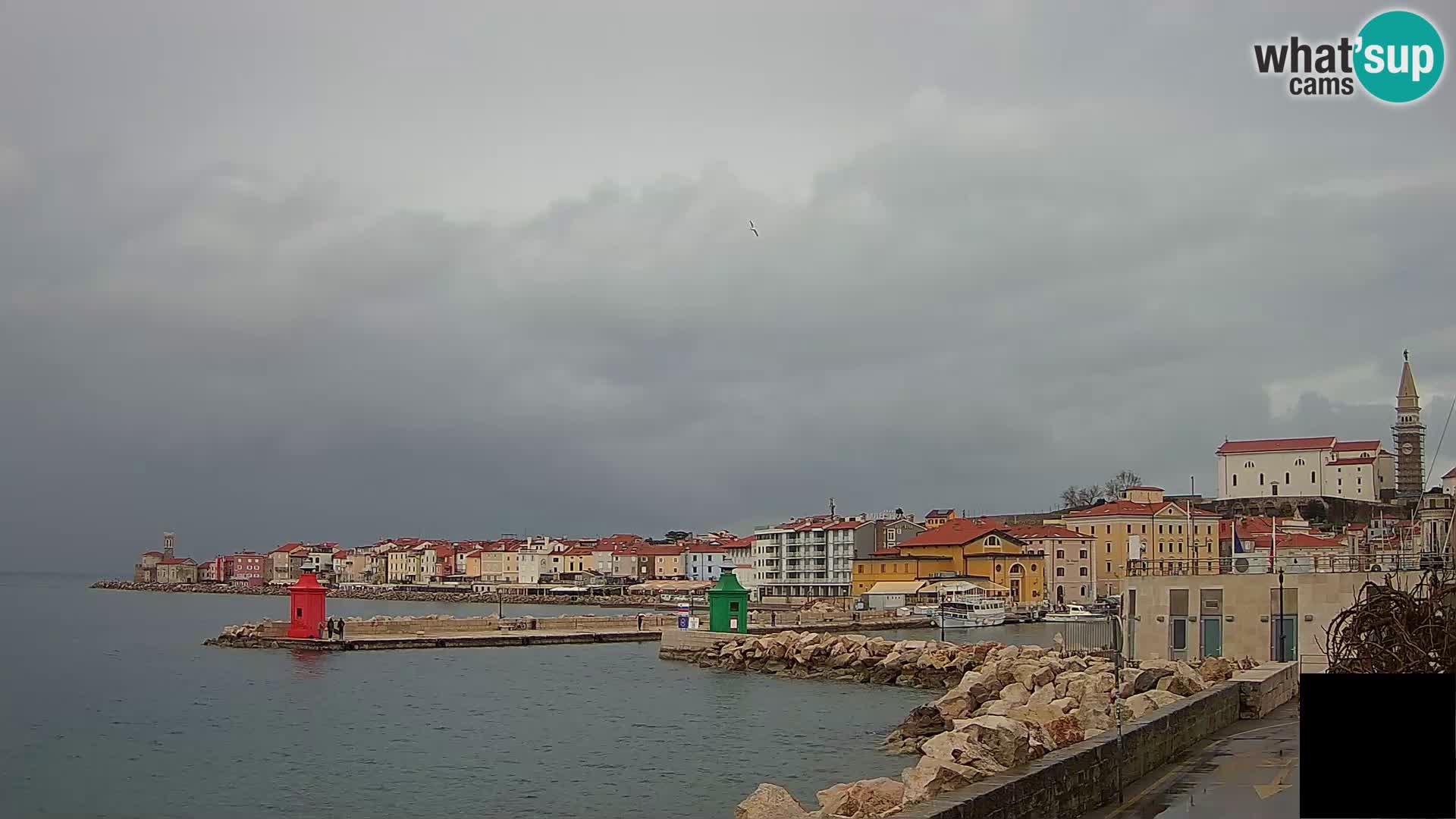 Pirano – vista verso la Punta e il “Mandrač”