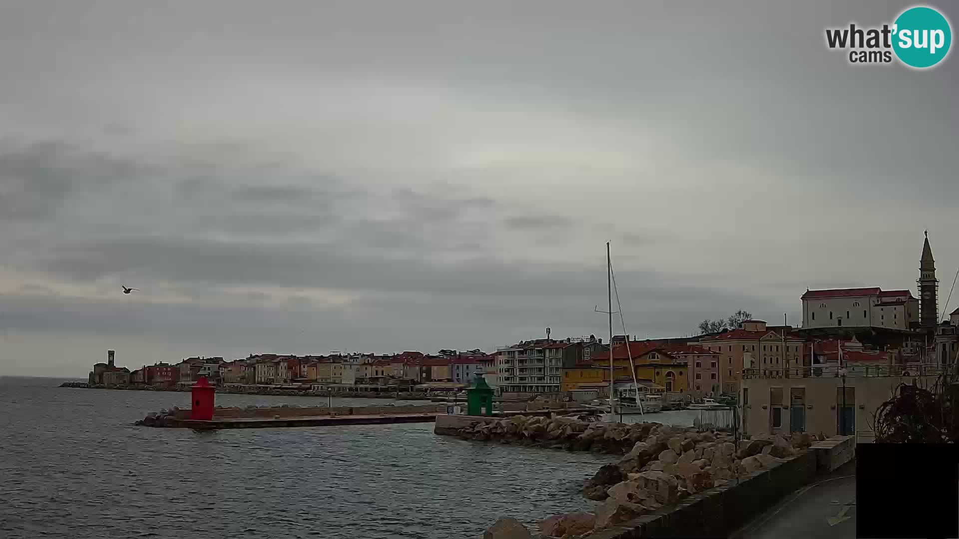 Piran – view to Punta and Mandrač