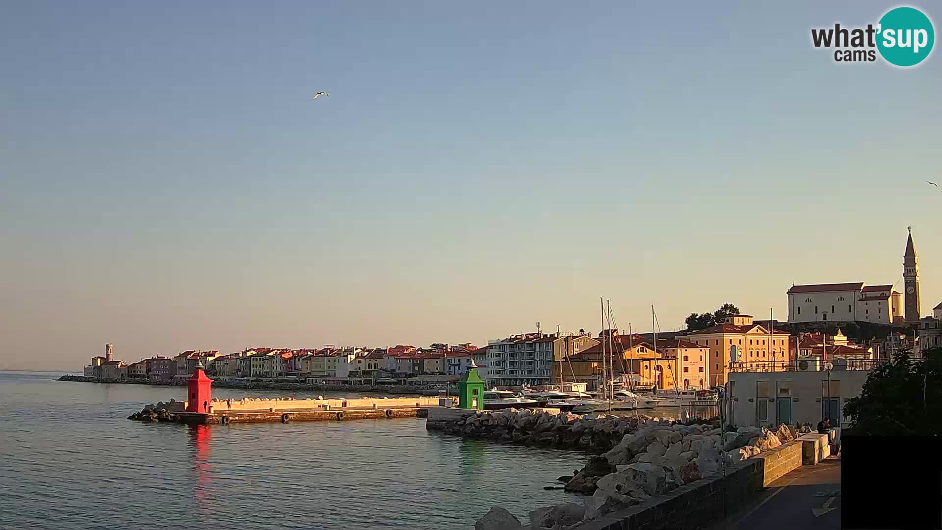Piran – view to Punta and Mandrač