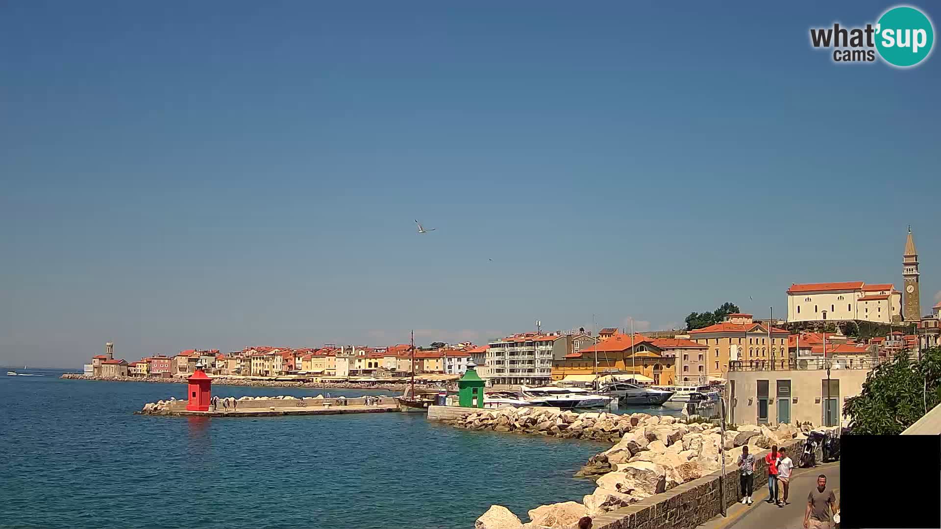 Piran – view to Punta and Mandrač