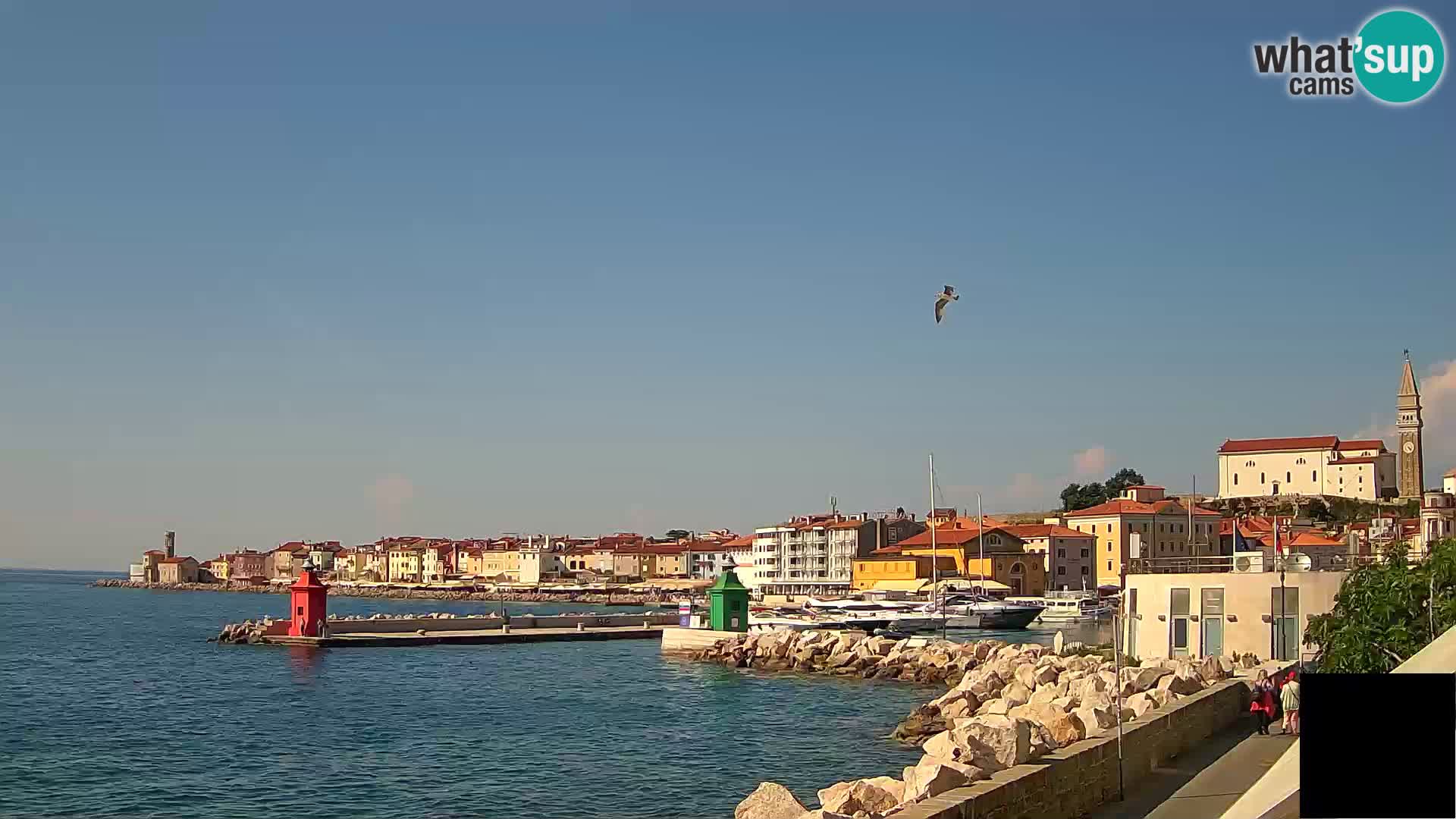 Pirano – vista verso la Punta e il “Mandrač”