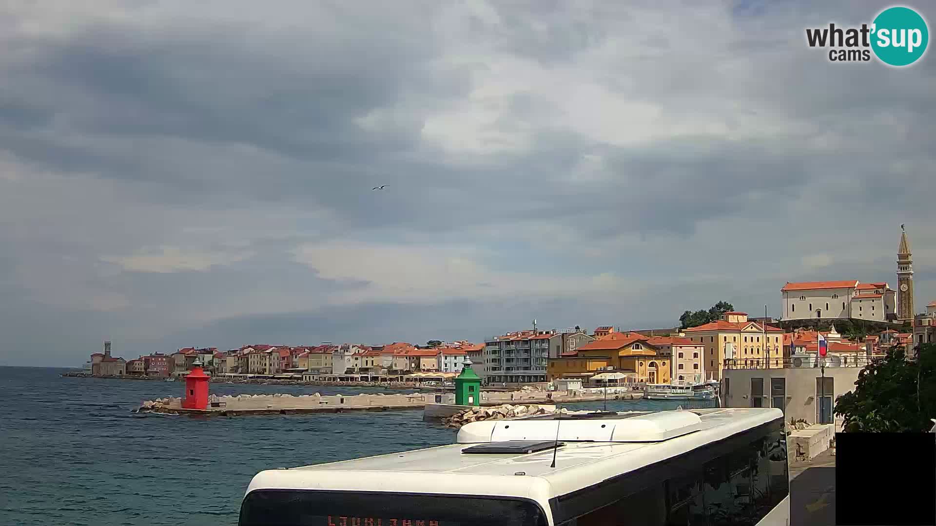 Piran – view to Punta and Mandrač