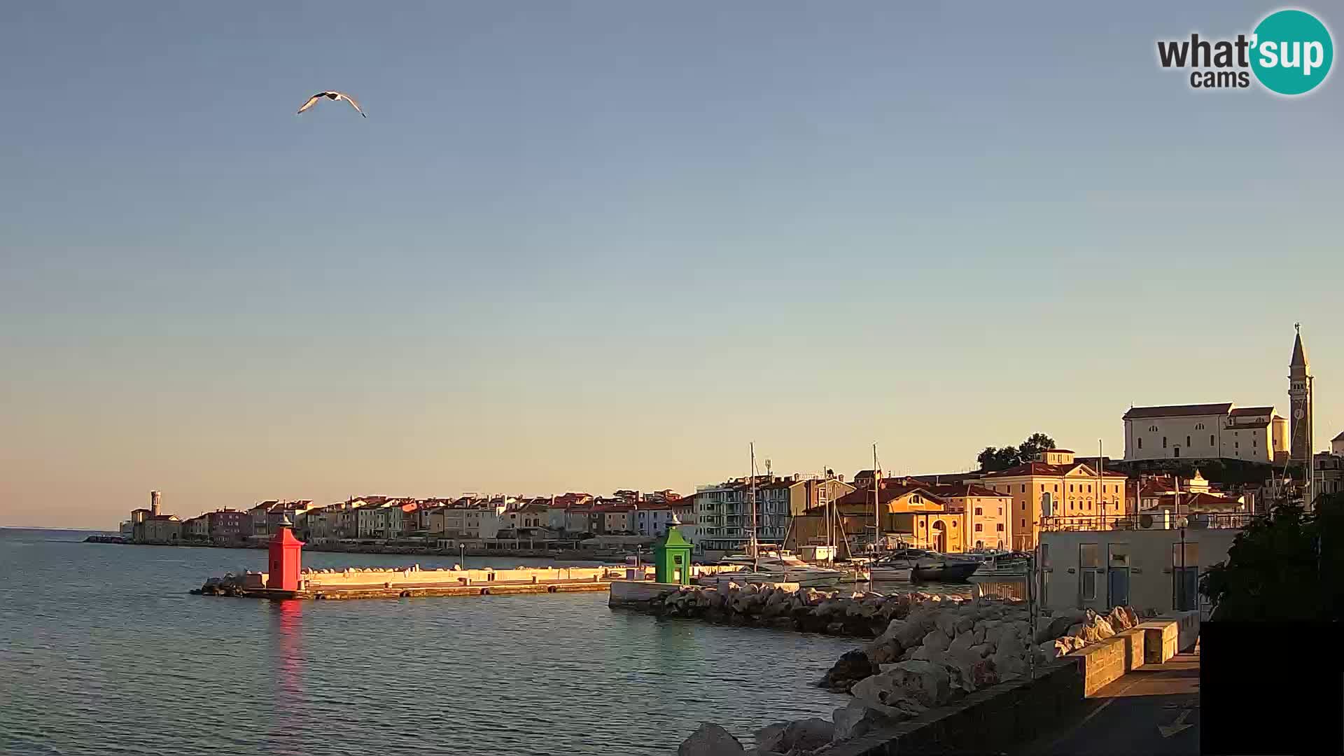 Piran – view to Punta and Mandrač