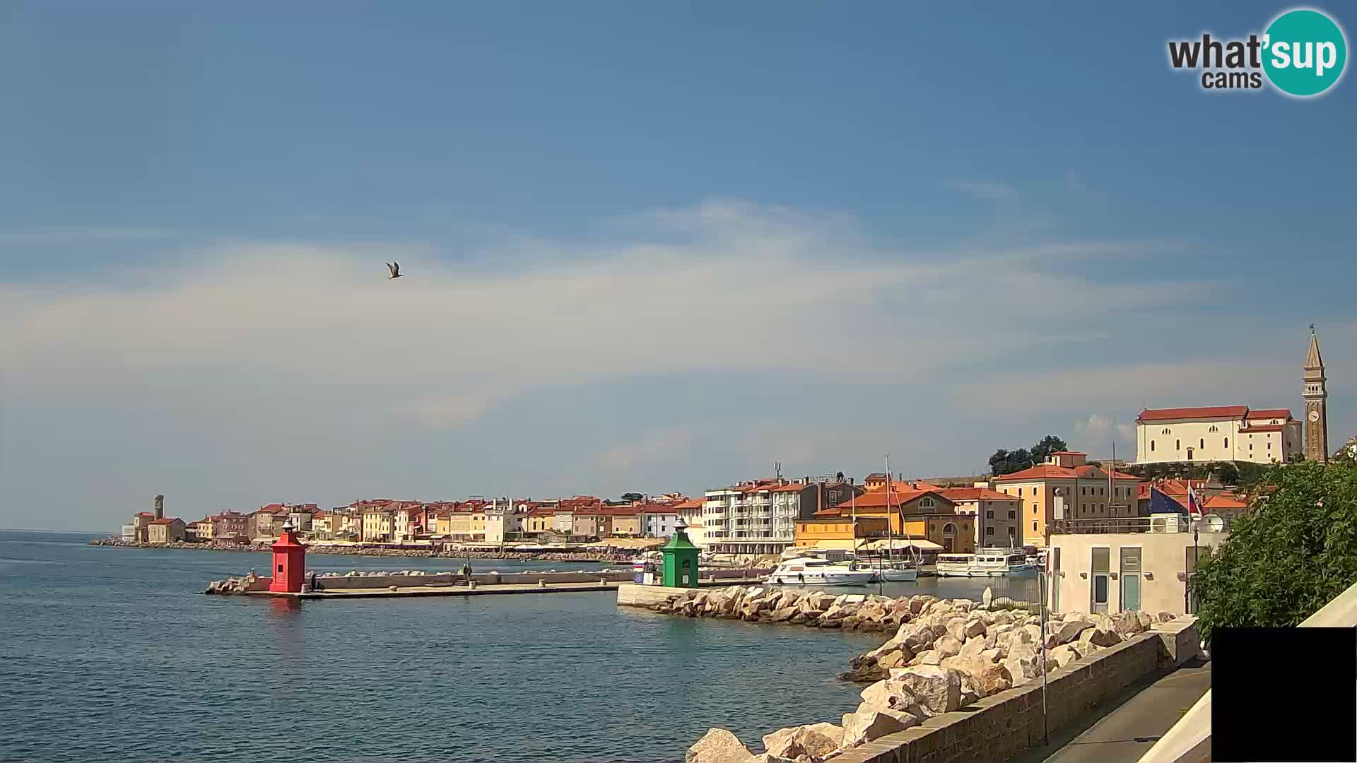 Piran – Punta i Mandrač
