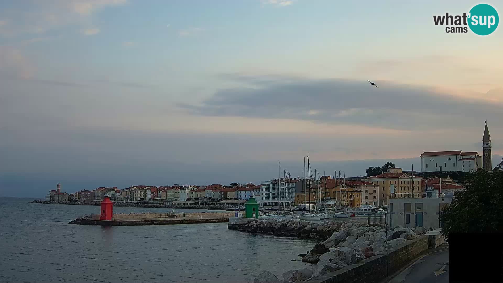 Piran – Punta i Mandrač