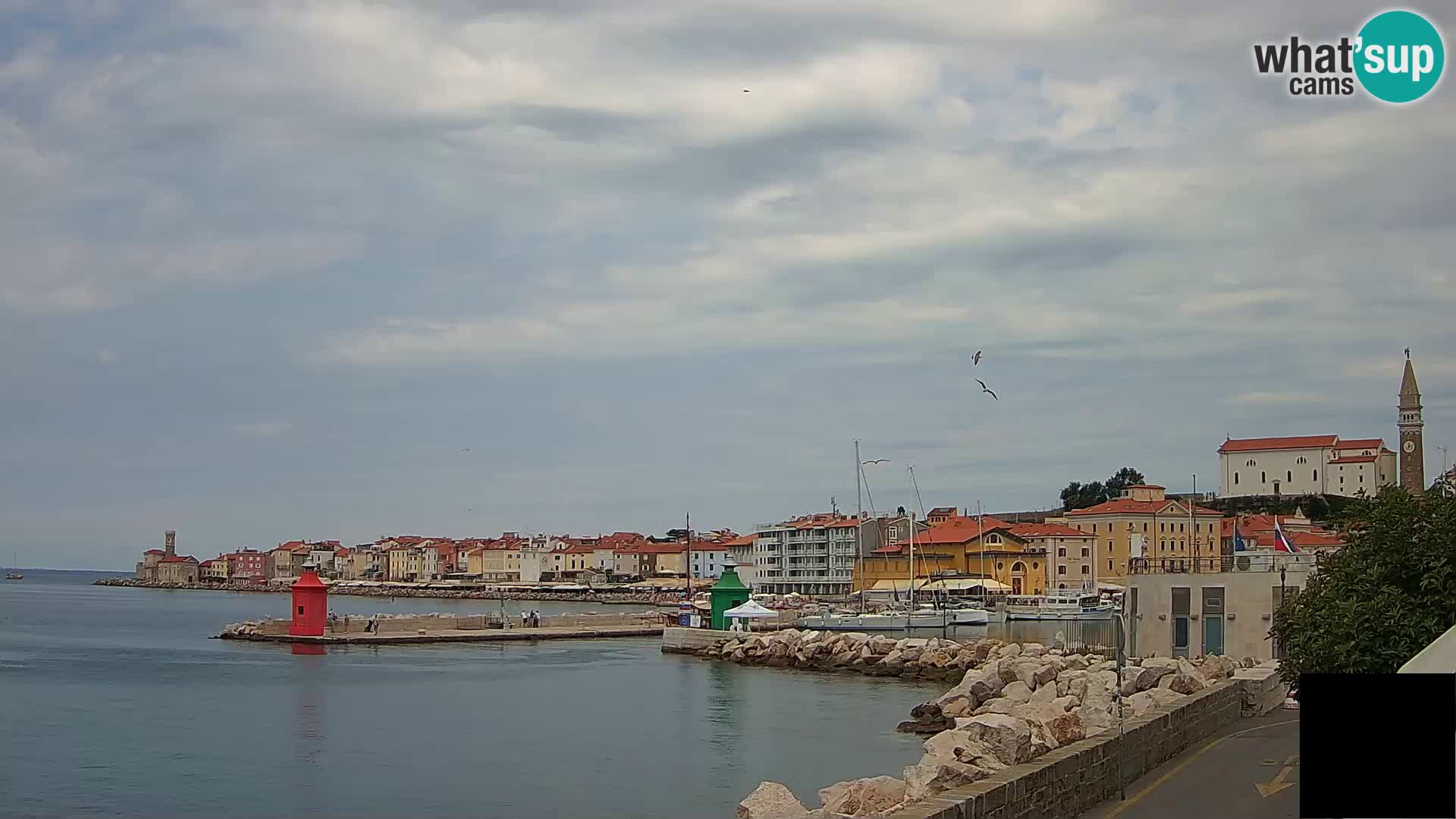 Pirano – vista verso la Punta e il “Mandrač”