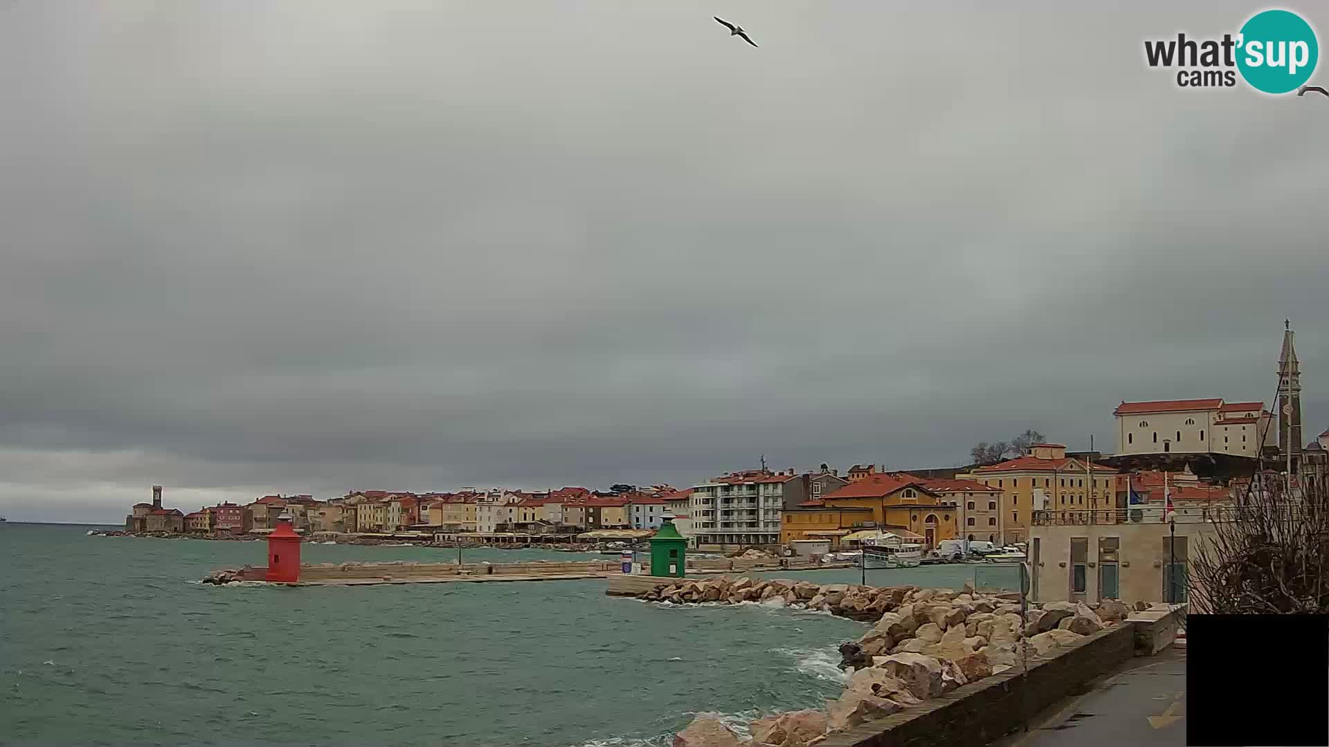 Piran – view to Punta and Mandrač