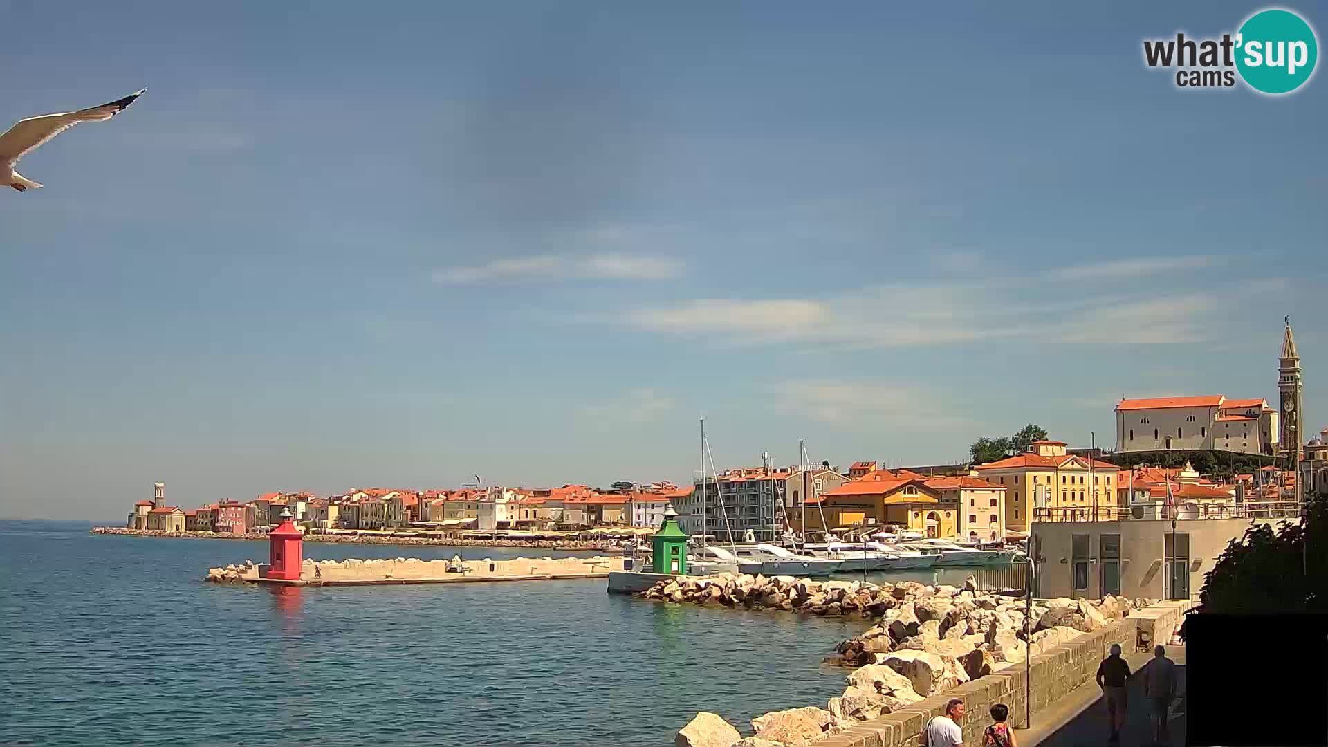 Pirano – vista verso la Punta e il “Mandrač”