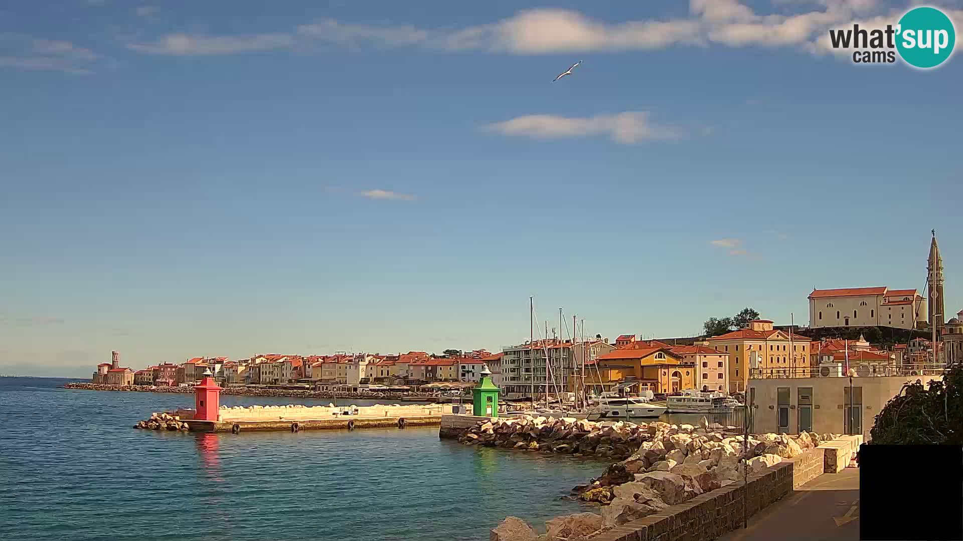 Piran – view to Punta and Mandrač