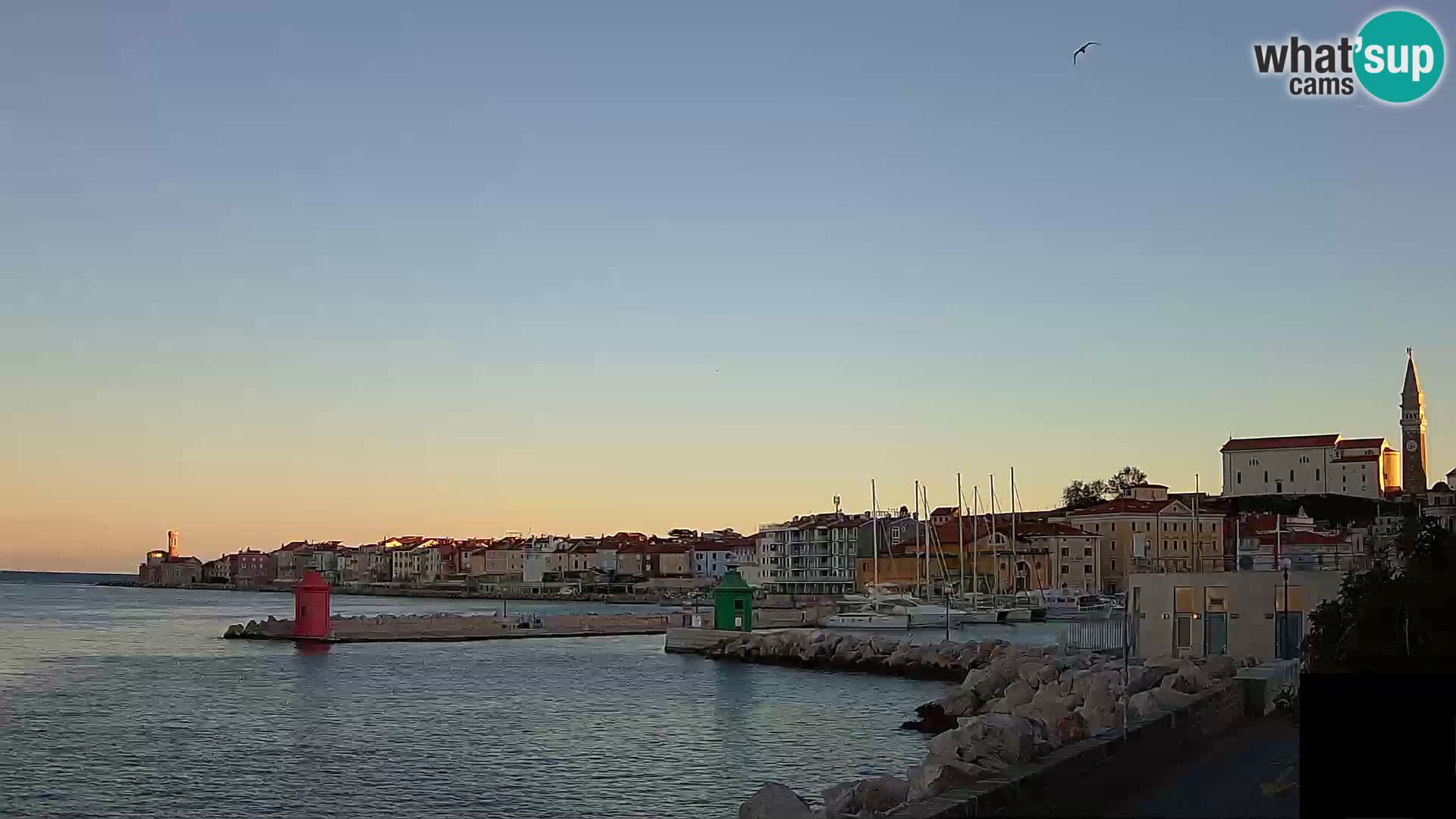 Piran – view to Punta and Mandrač