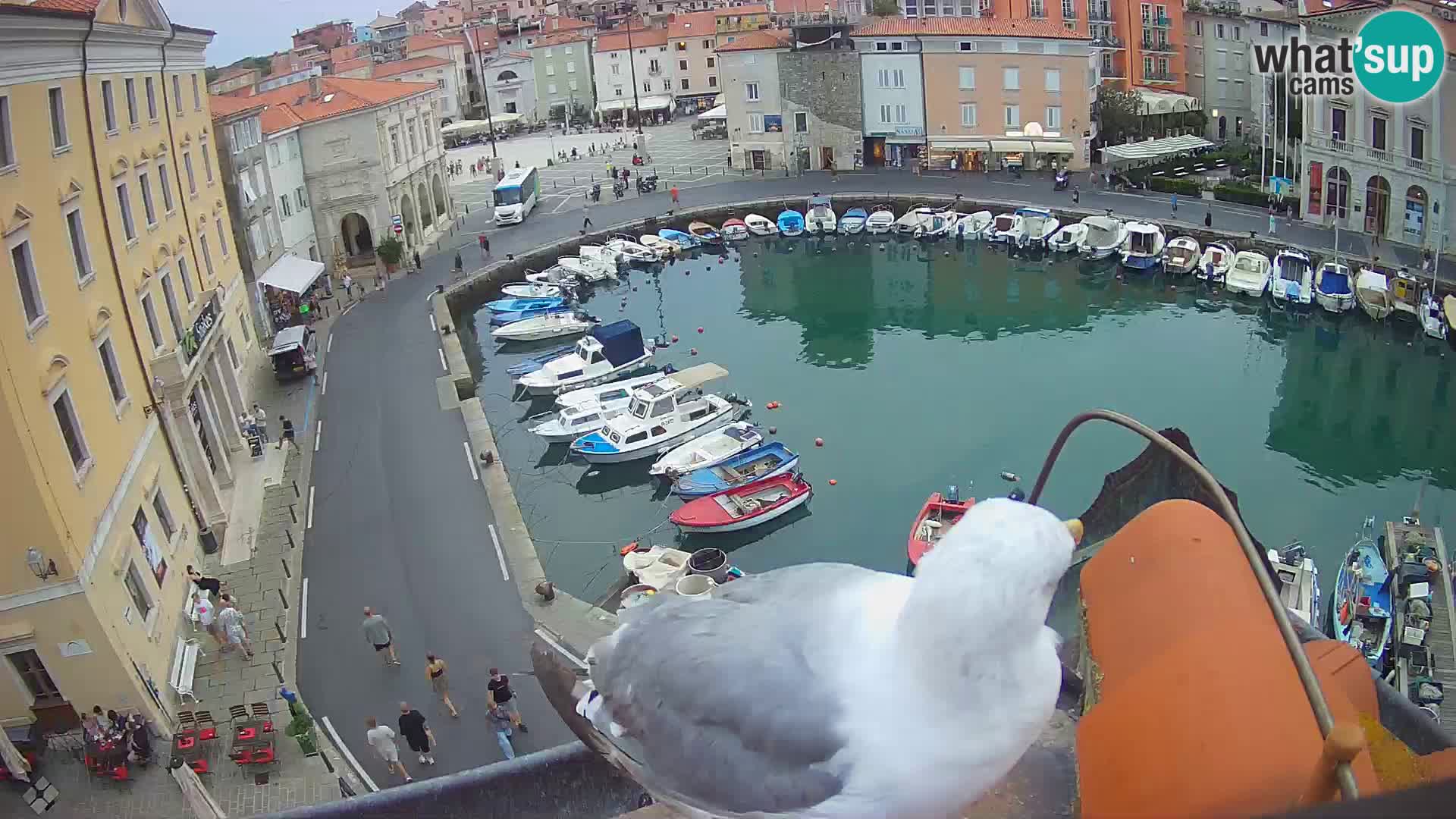 Villa Piranesi Live view Piran – Slovenia