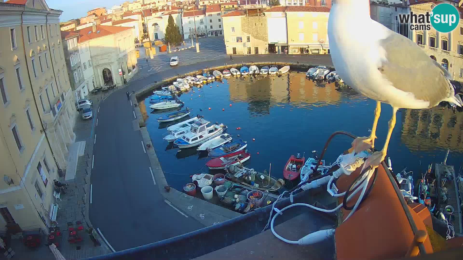 Villa Piranesi Live-Ansicht Piran – Slowenien