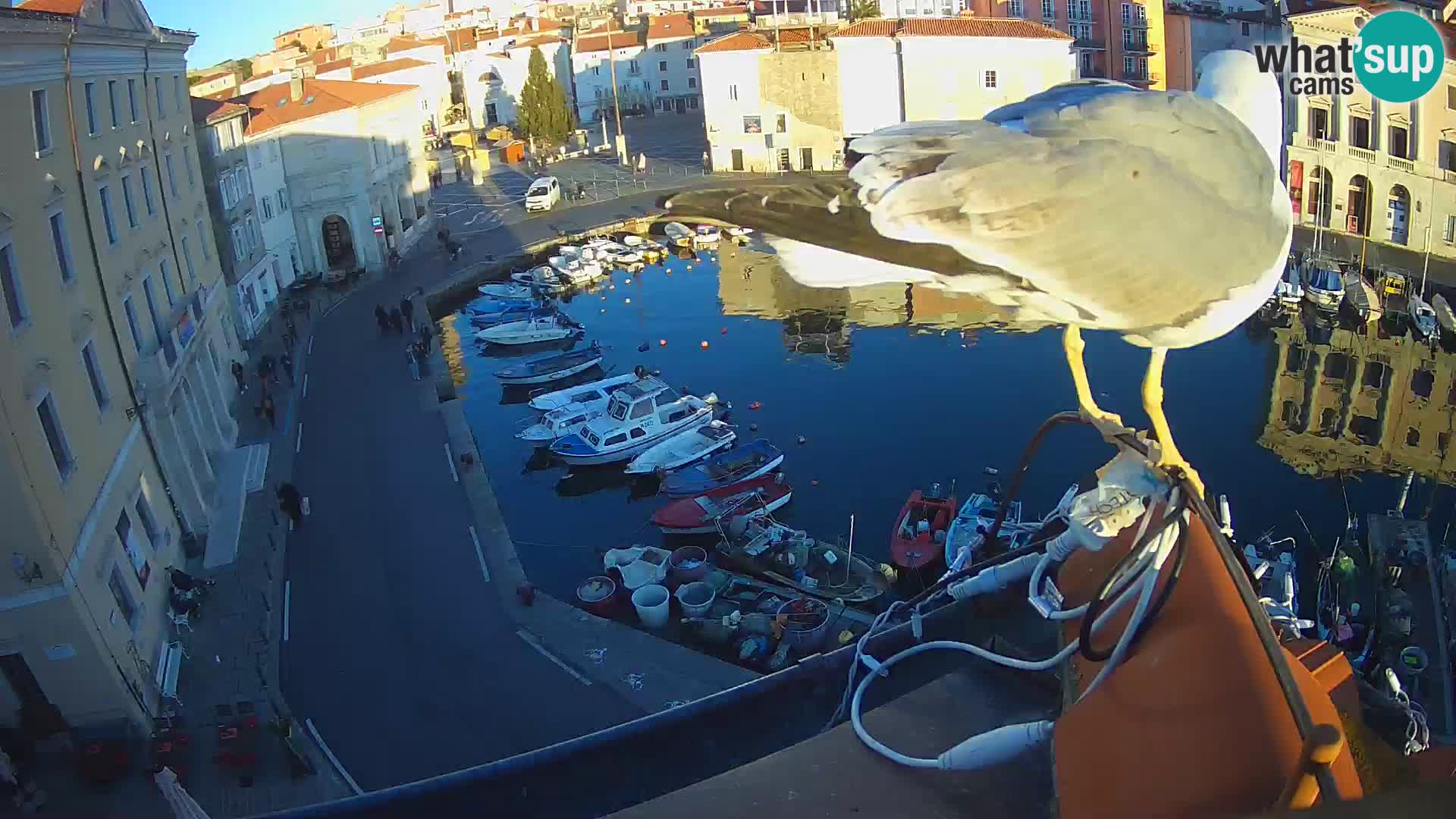 Villa Piranesi Live-Ansicht Piran – Slowenien