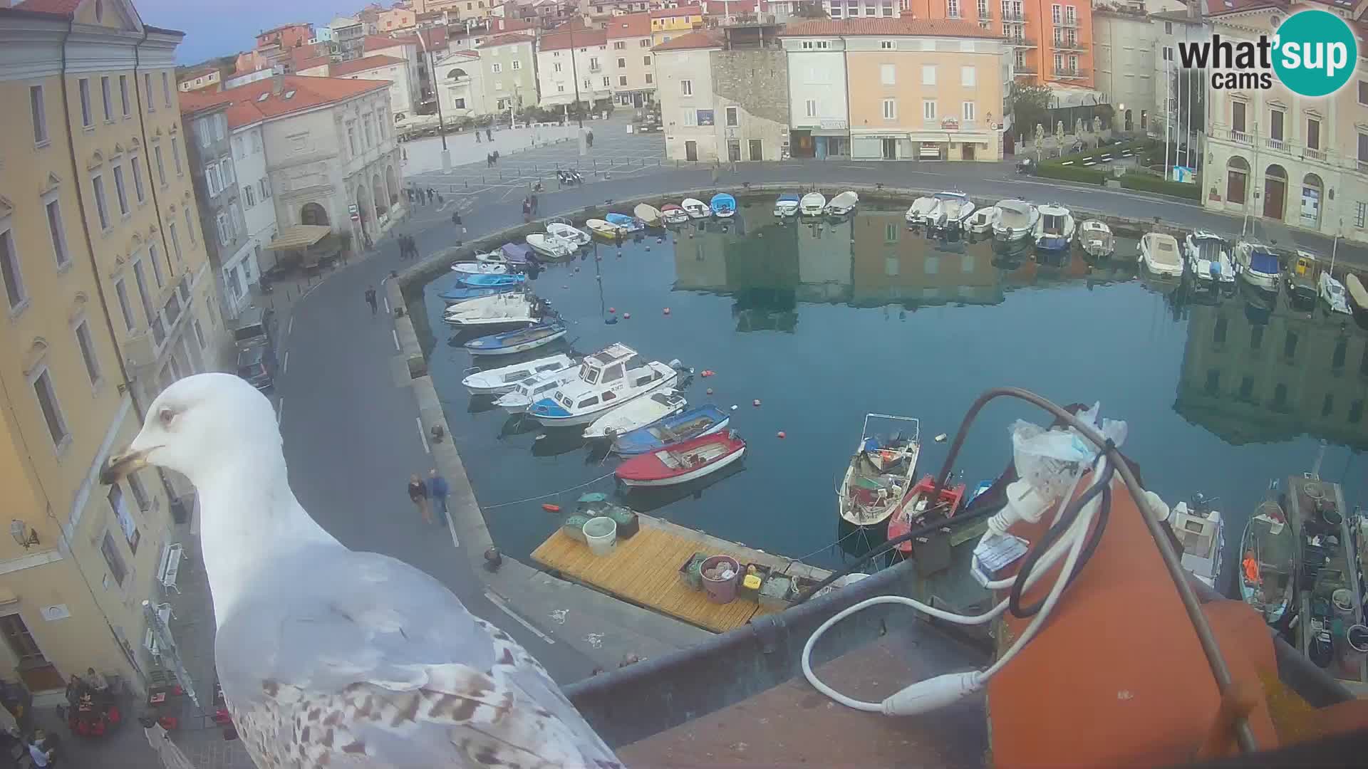 Villa Piranesi Live view Piran – Slovenia