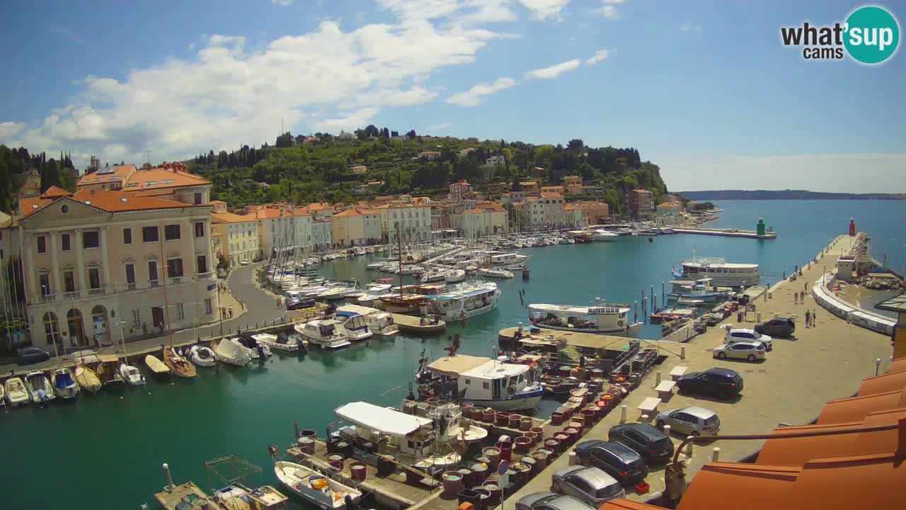 Webcam en direct de Piran “Mandrač” – Incroyable vue en direct de la Villa Piranesi