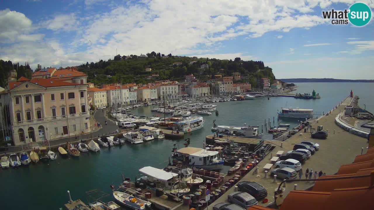 Live webcam da Pirano “Mandrač” – Splendida vista live da Villa Piranesi