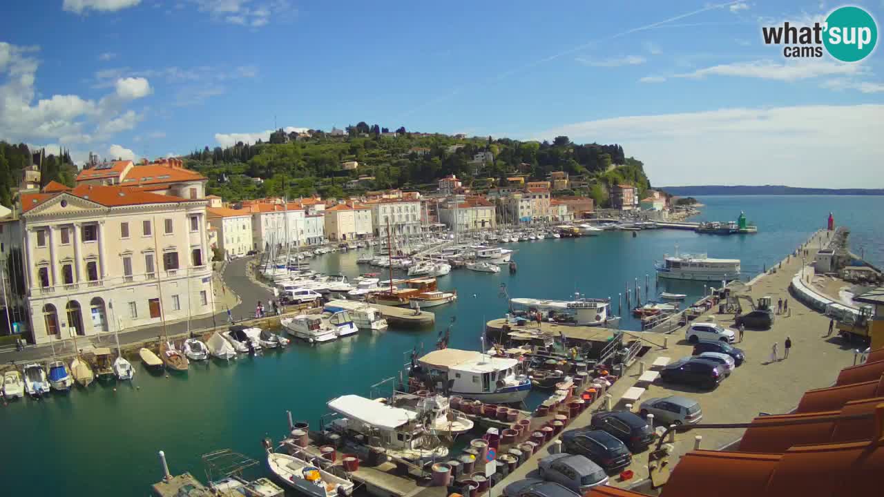 Live webcam da Pirano “Mandrač” – Splendida vista live da Villa Piranesi