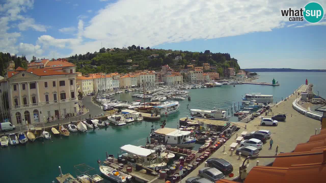 Webcam en direct de Piran “Mandrač” – Incroyable vue en direct de la Villa Piranesi