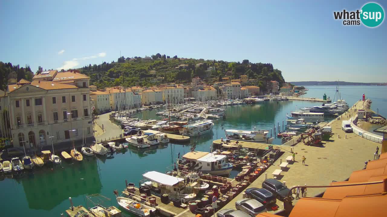 Live webcam da Pirano “Mandrač” – Splendida vista live da Villa Piranesi