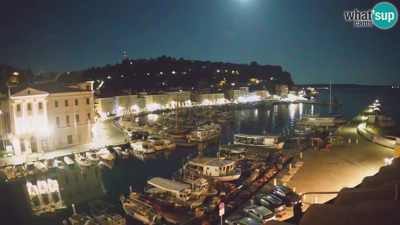 Iz Pirana Spletna kamera v živo “Mandrač” – Neverjeten pogled v živo iz Vile Piranesi