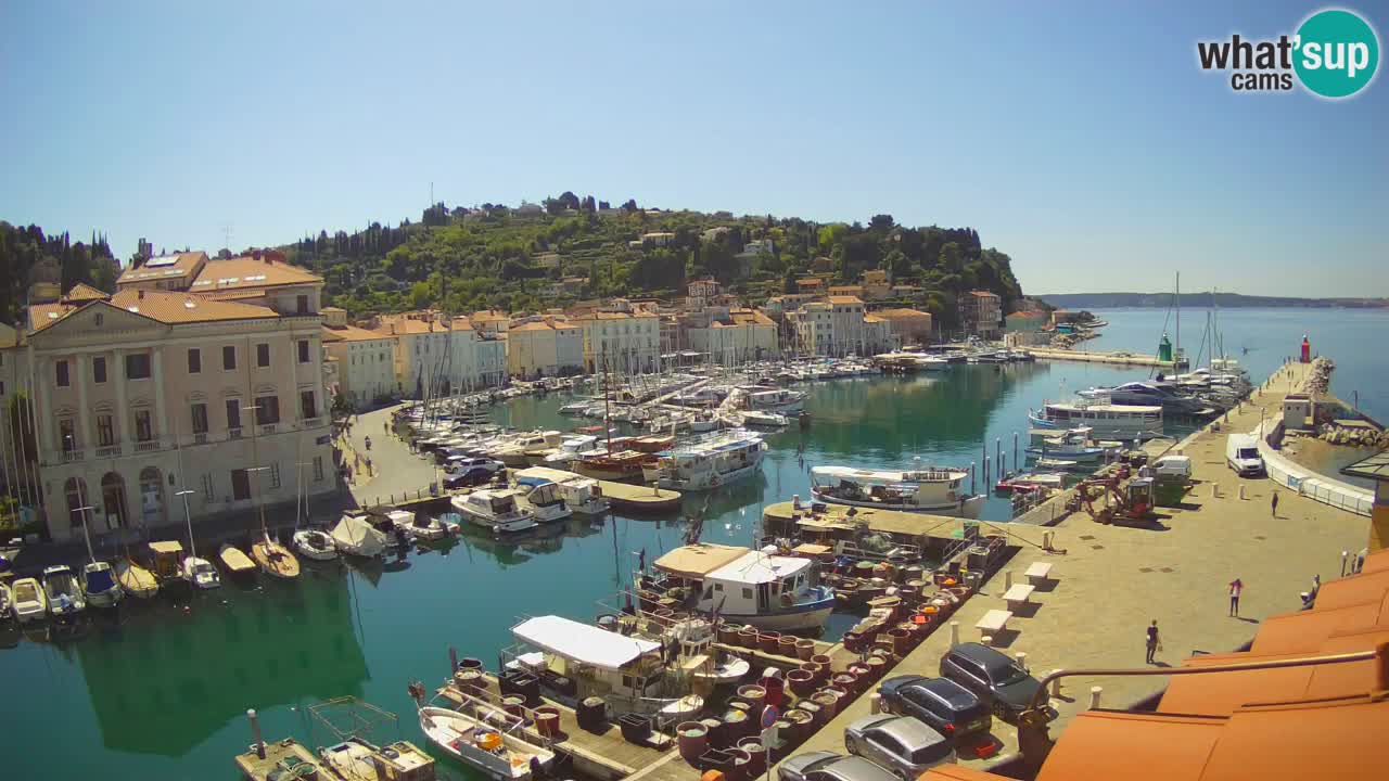 Live-Webcam aus Piran “Mandrač” – Erstaunliche Live-Ansicht von Villa Piranesi