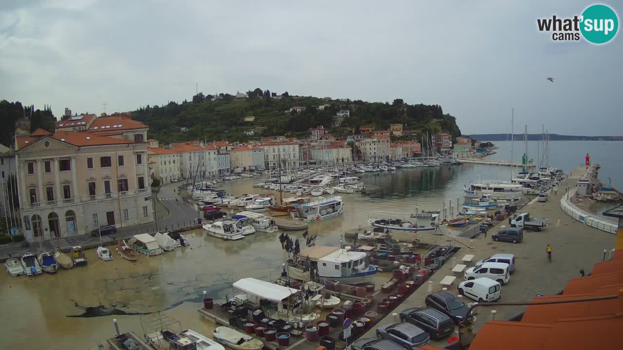 Live webcam from Piran “Mandrač” – Amazing live view from Villa Piranesi