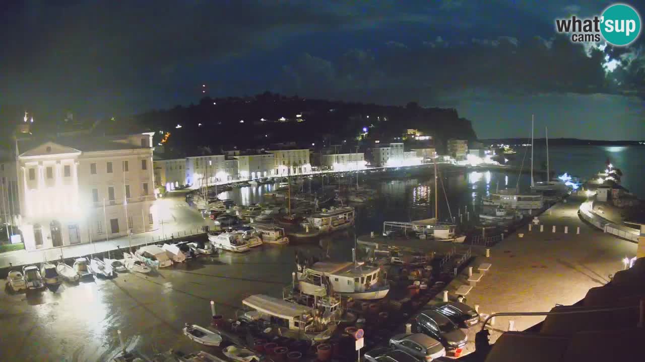 Iz Pirana Spletna kamera v živo “Mandrač” – Neverjeten pogled v živo iz Vile Piranesi