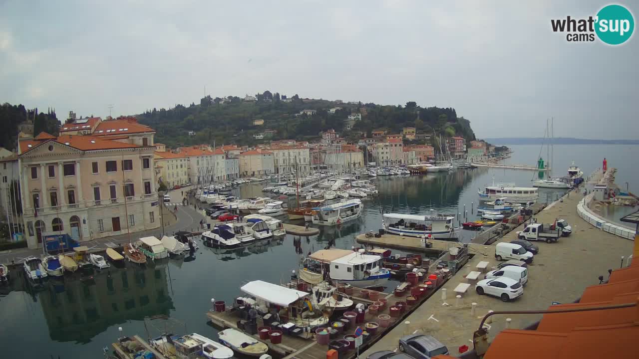 Webcam en direct de Piran “Mandrač” – Incroyable vue en direct de la Villa Piranesi