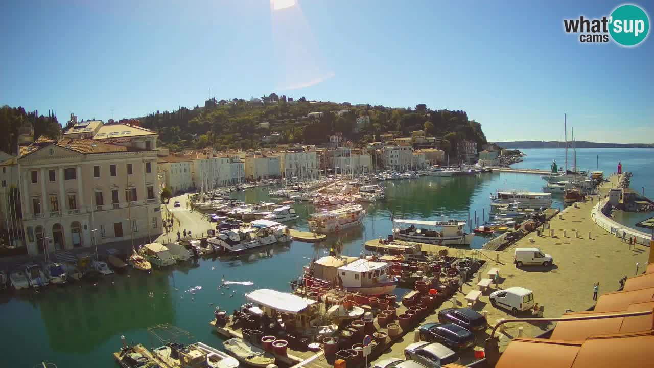 Webcam en direct de Piran “Mandrač” – Incroyable vue en direct de la Villa Piranesi