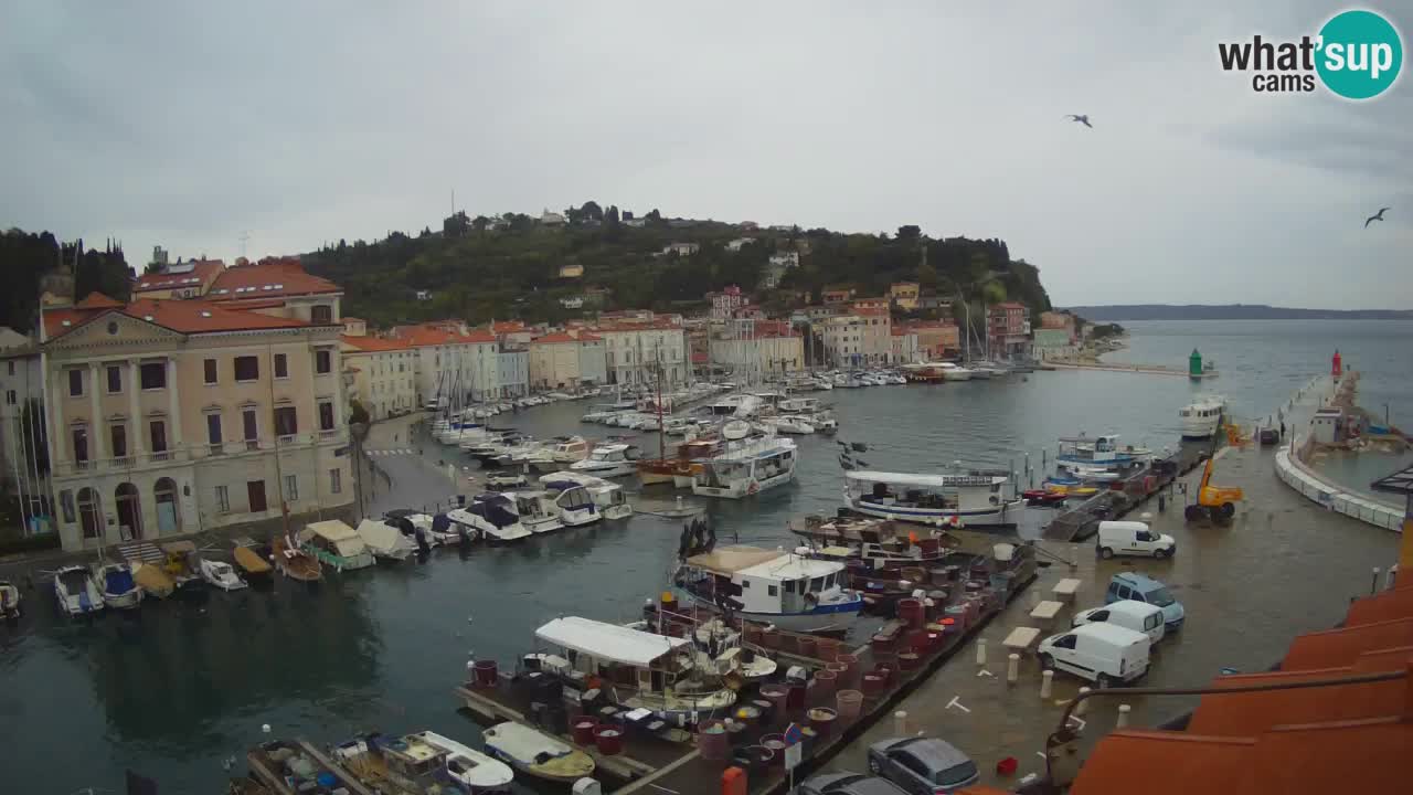 Live webcam da Pirano “Mandrač” – Splendida vista live da Villa Piranesi