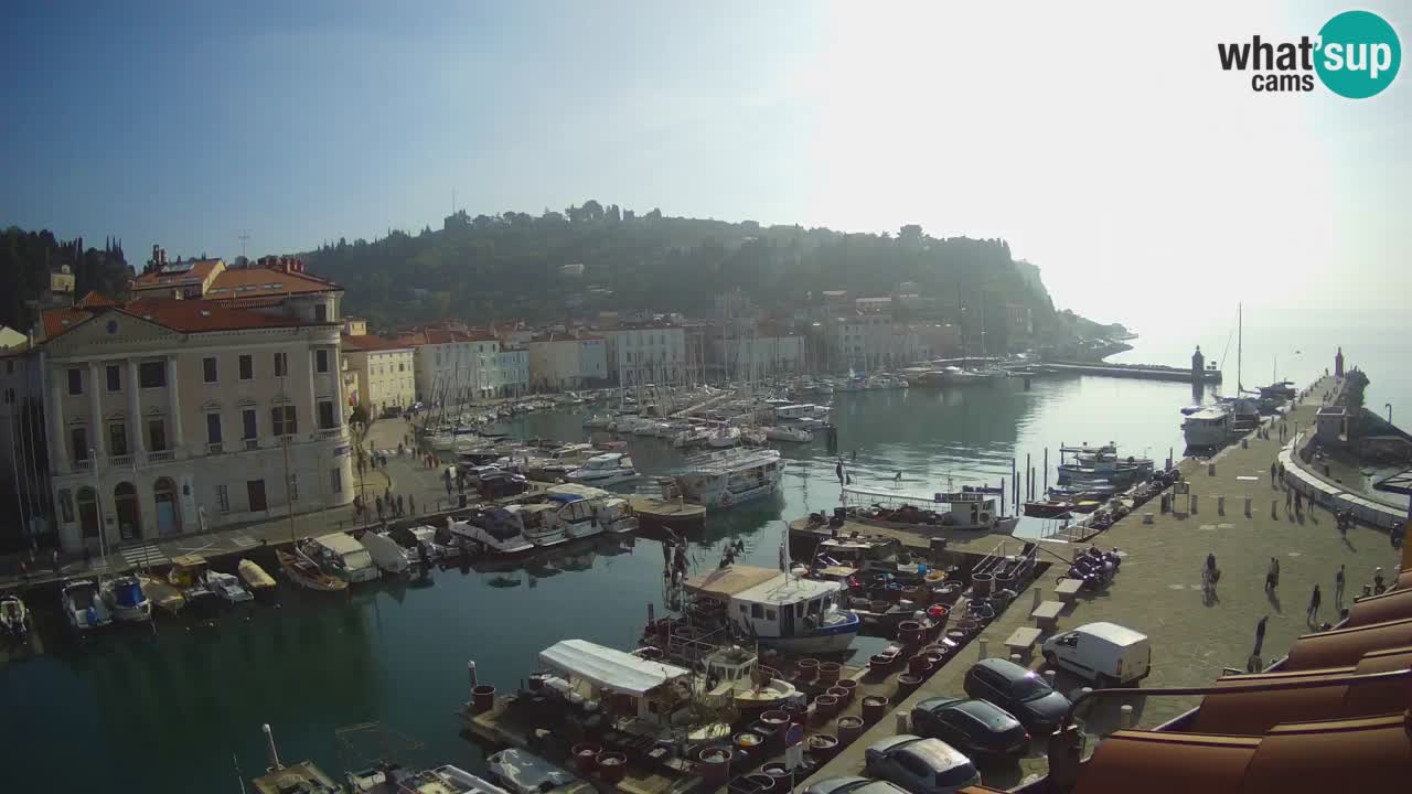 Live-Webcam aus Piran “Mandrač” – Erstaunliche Live-Ansicht von Villa Piranesi